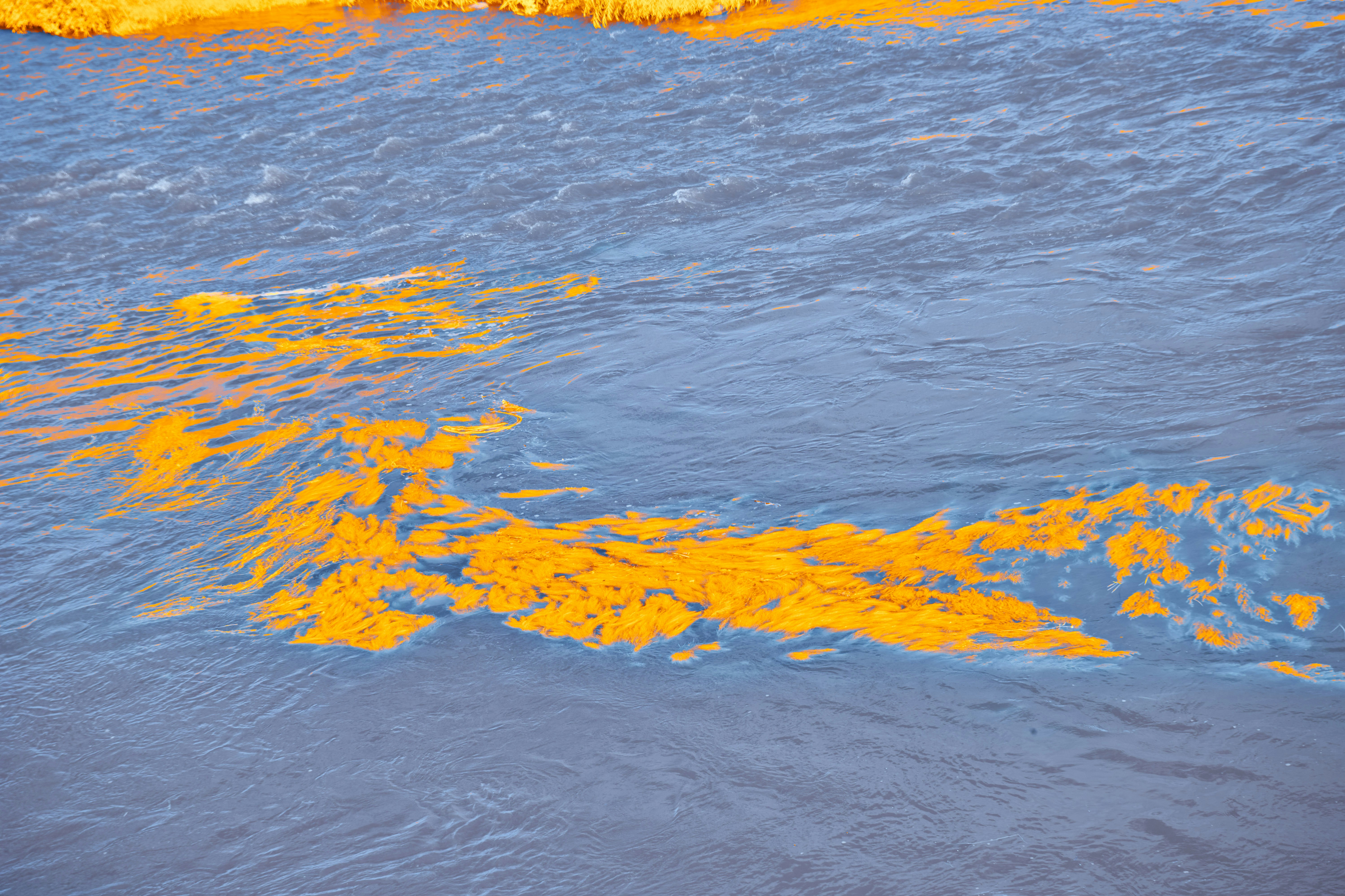 Photo by wolfgang_hasselmann