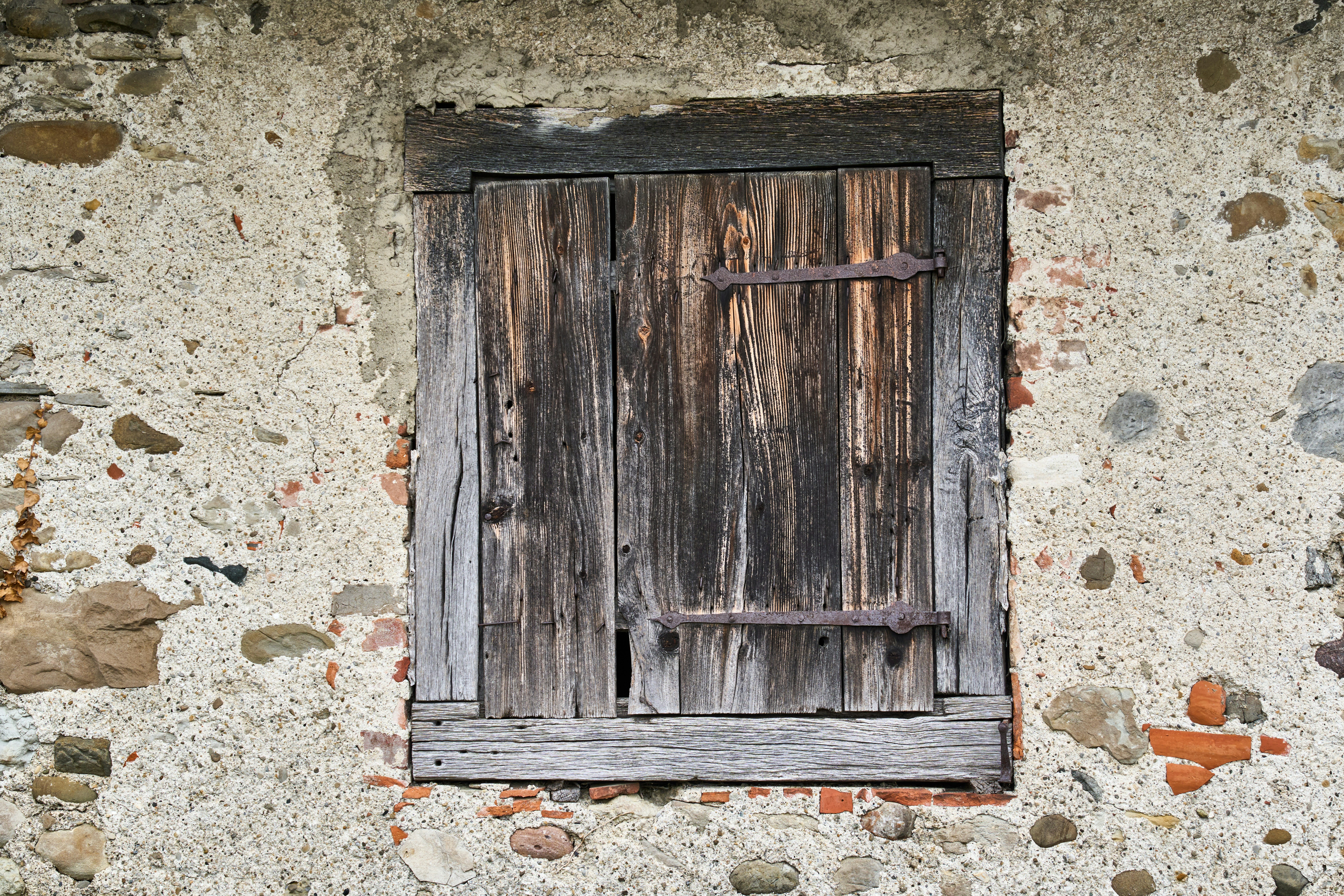 Photo by wolfgang_hasselmann