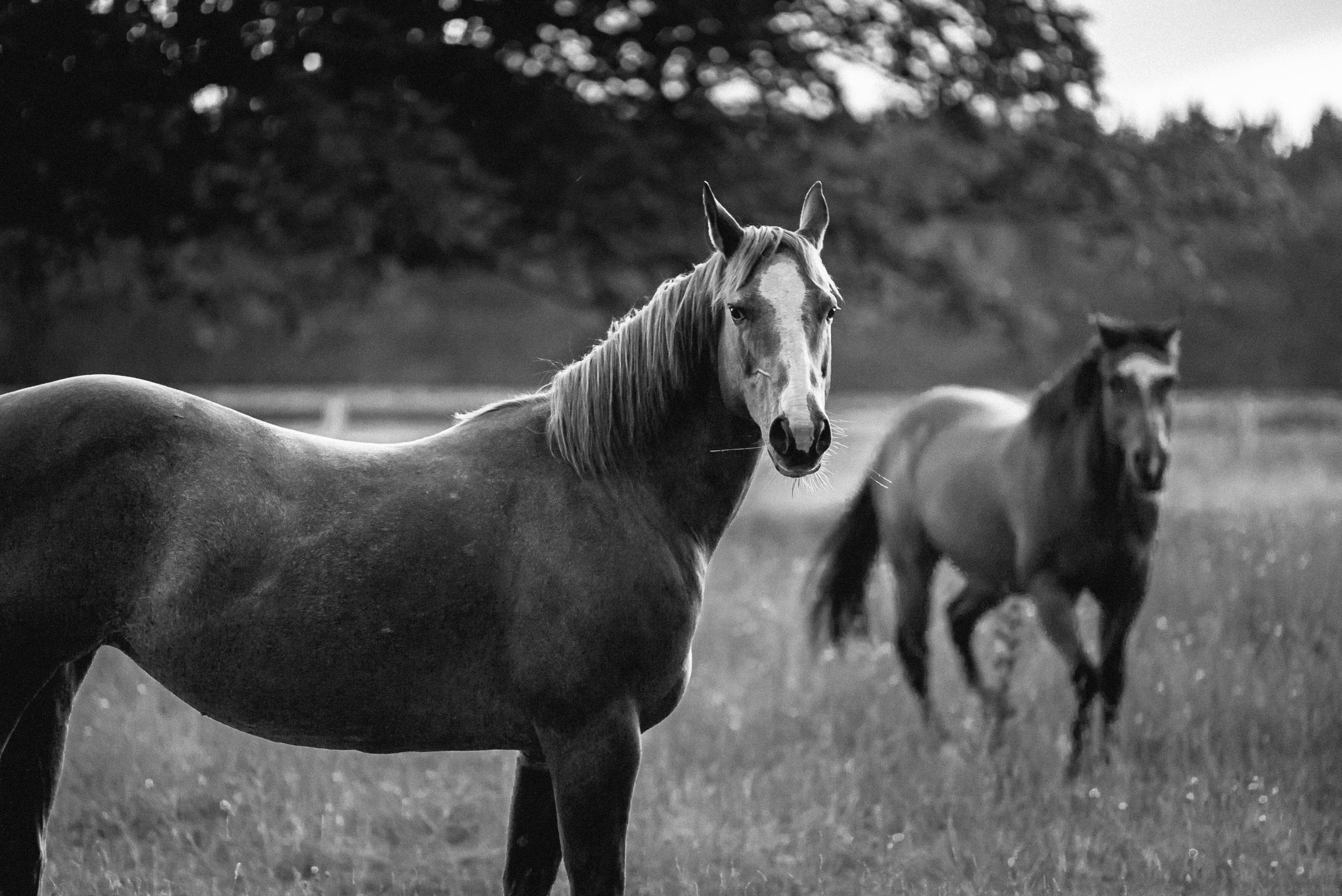 Photo by mythosvisuals