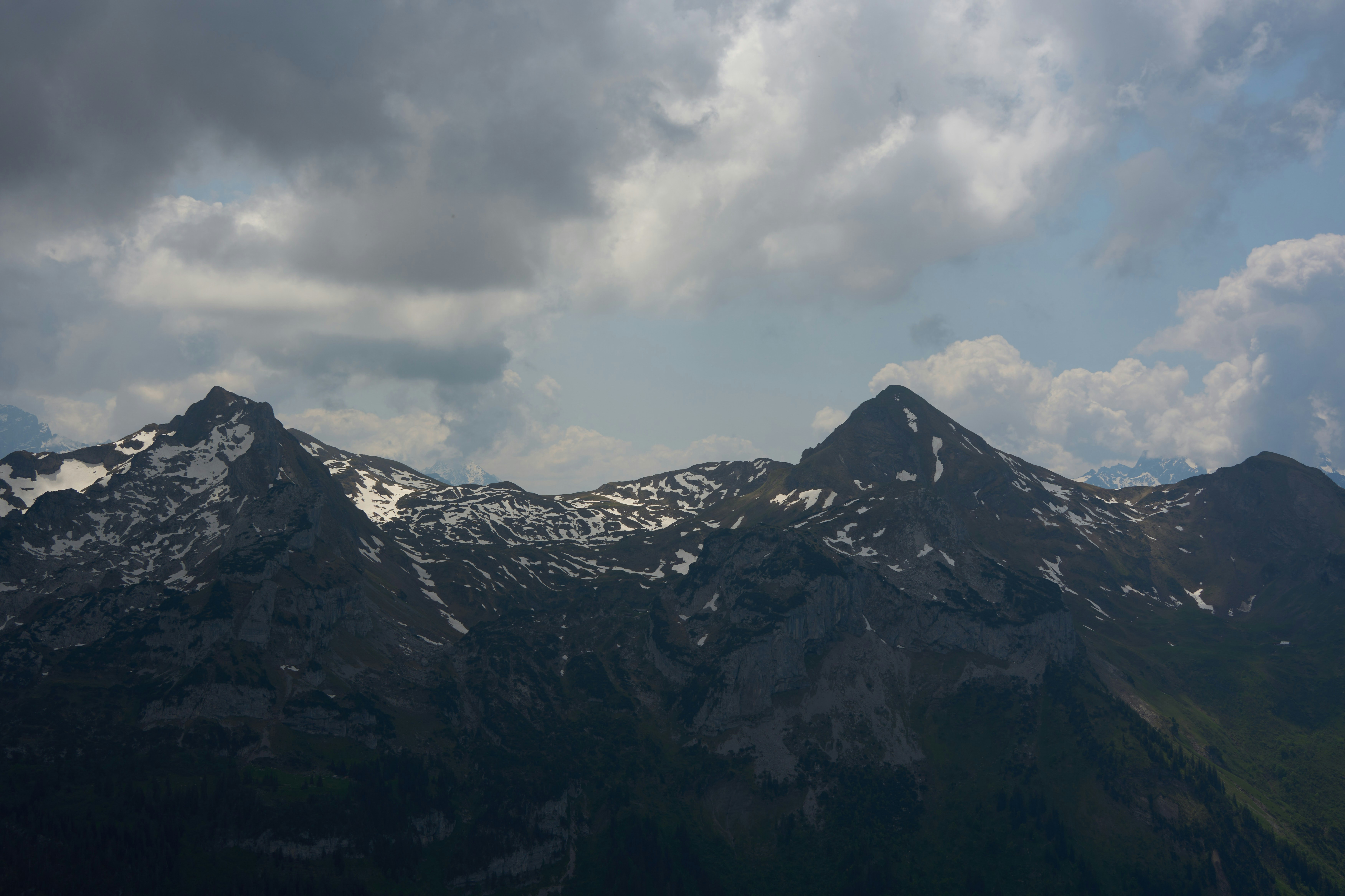 Photo by wolfgang_hasselmann