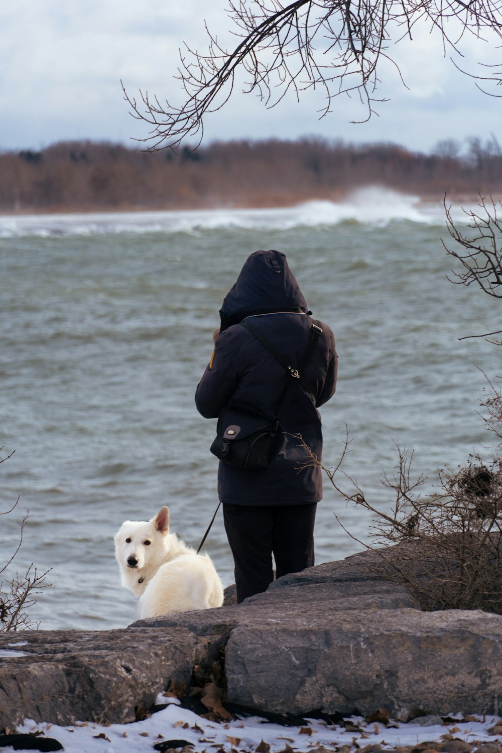 a person standing next to a white dog on a leash