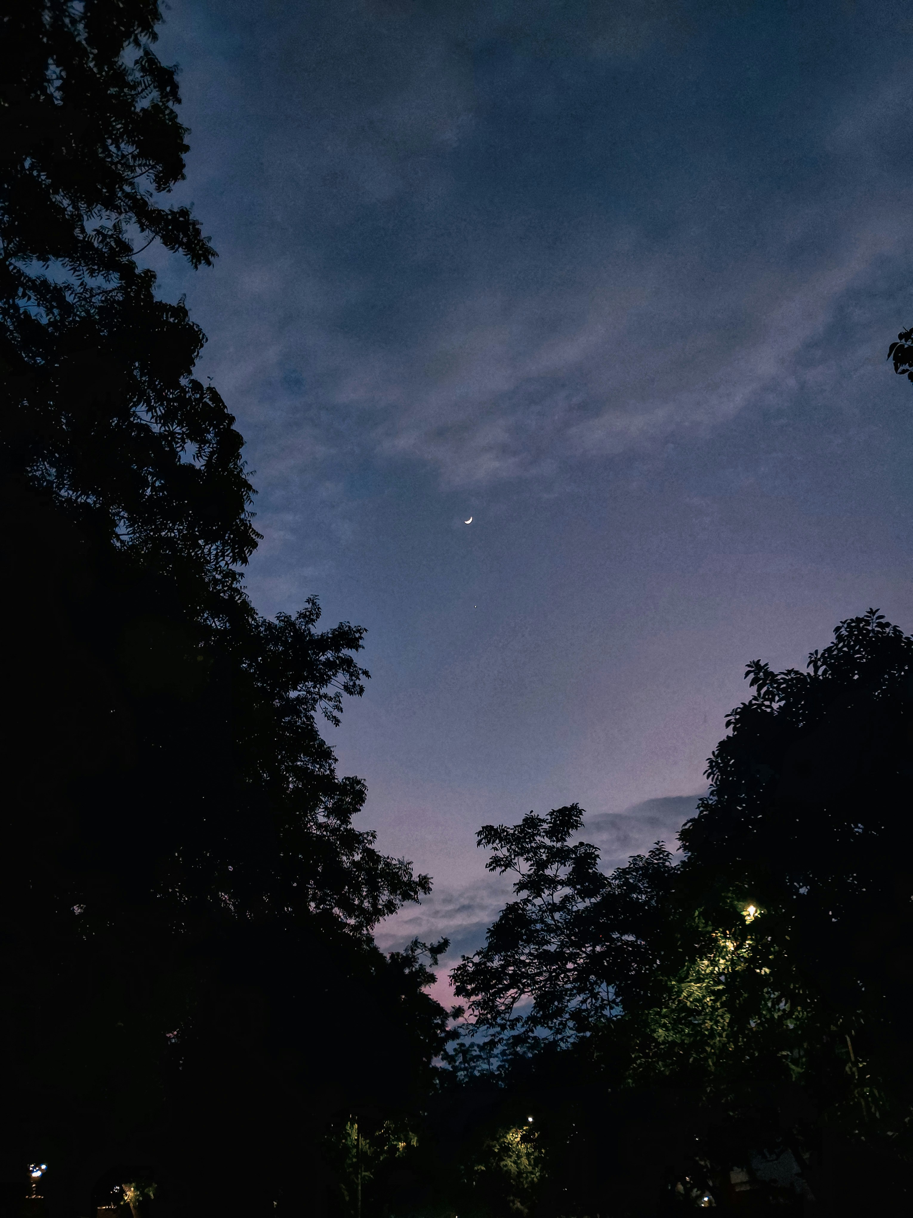 Photo by pranay_gurve