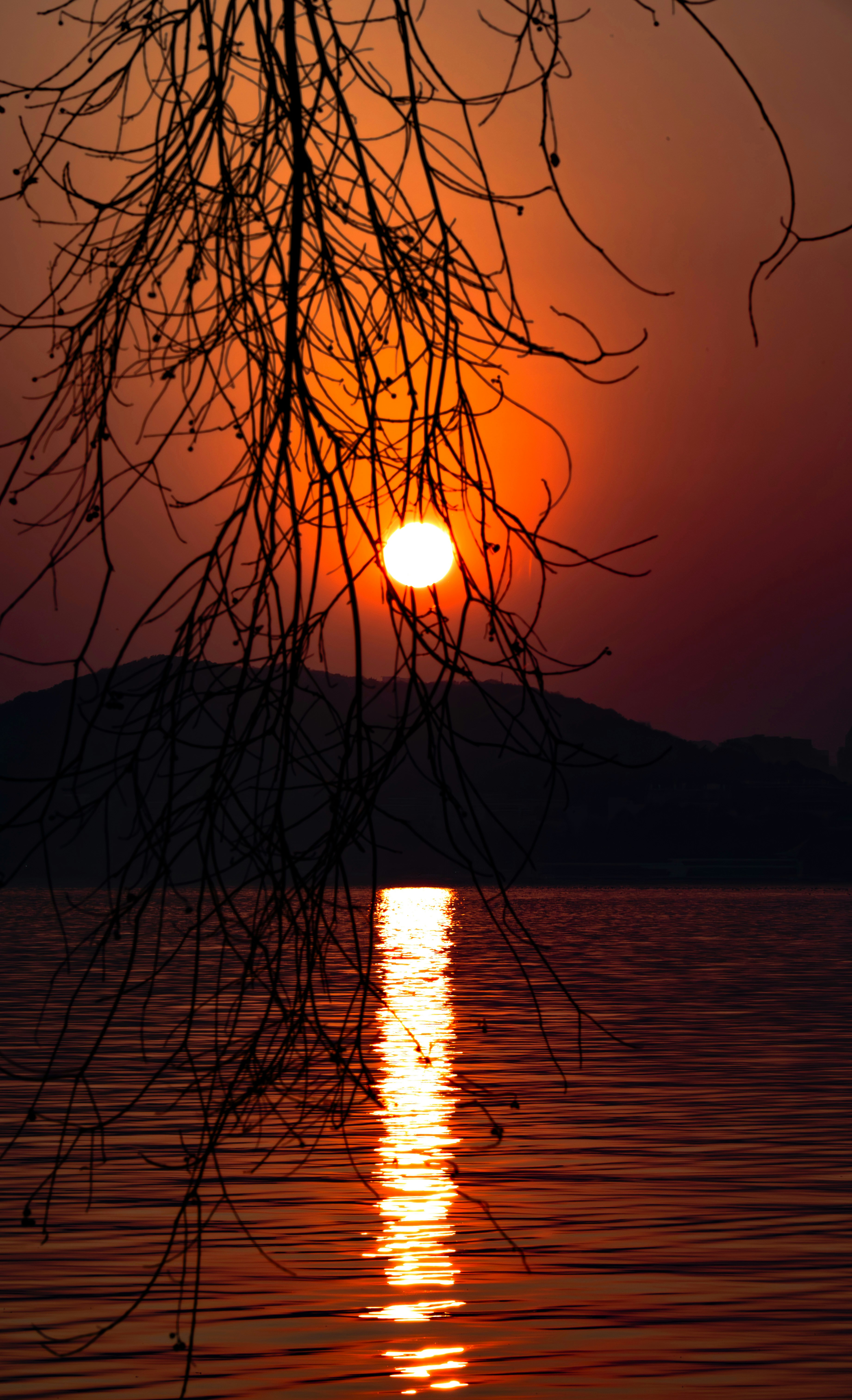 Photo by excellentcx