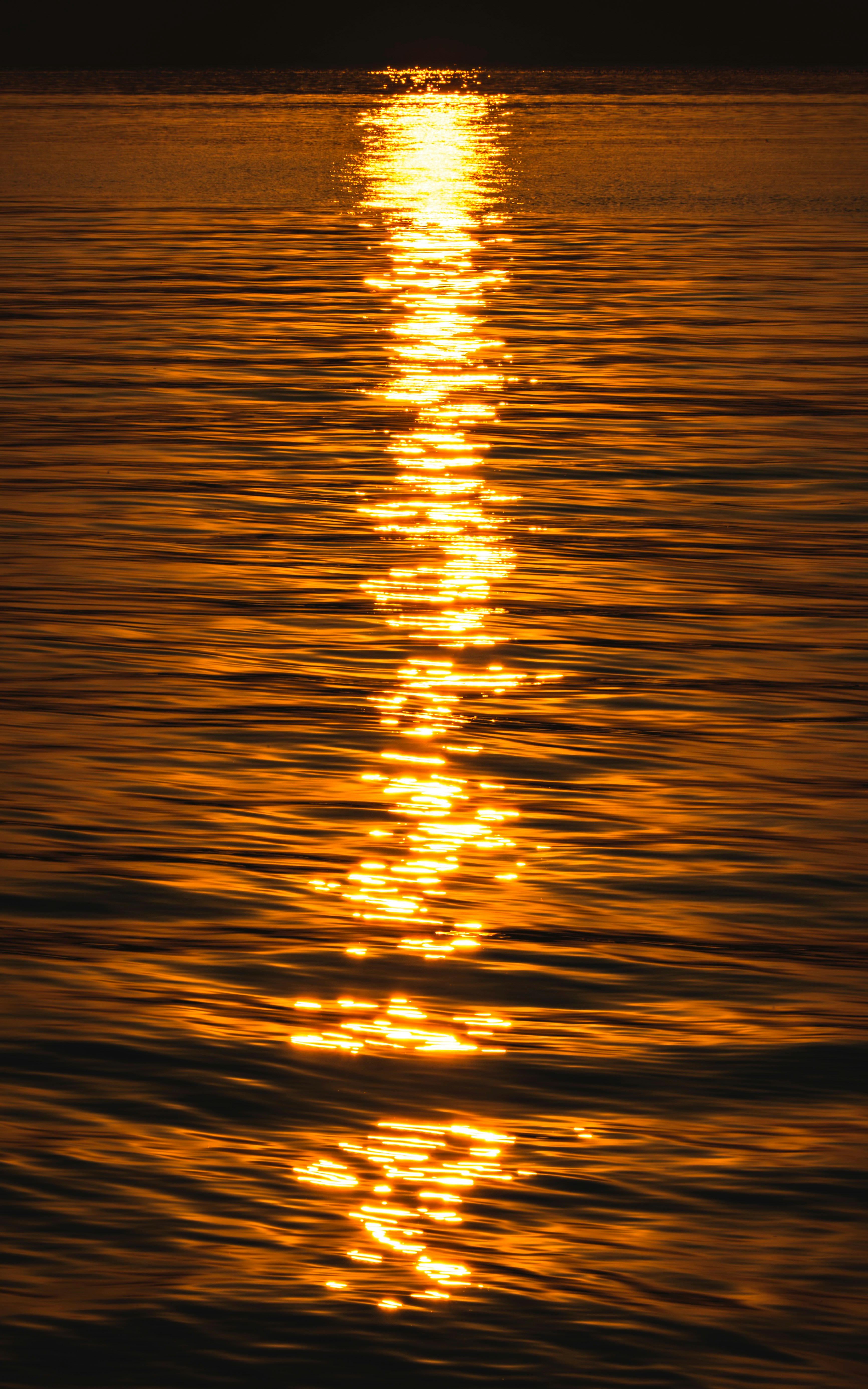 Photo by excellentcx