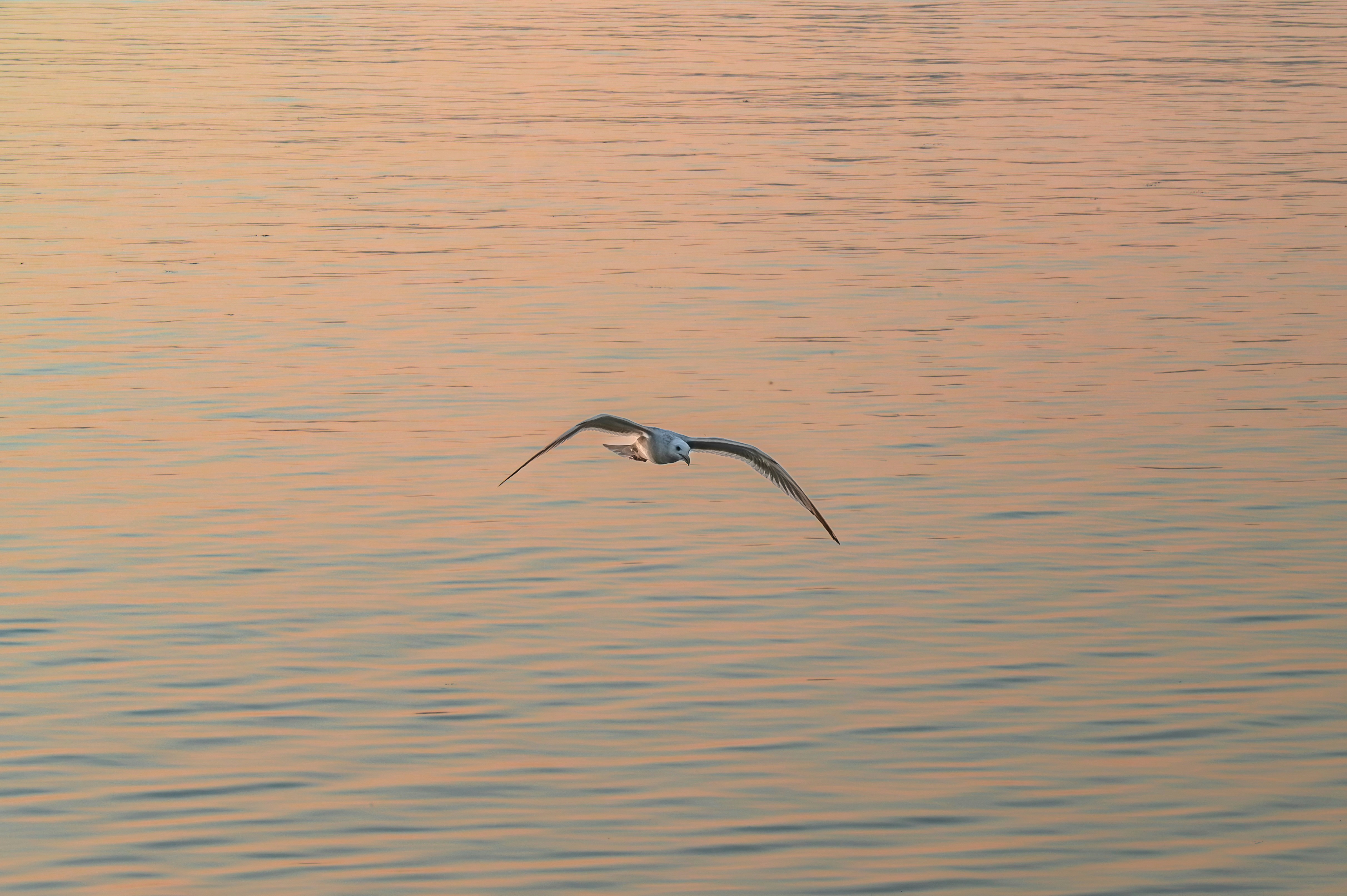 Photo by excellentcx