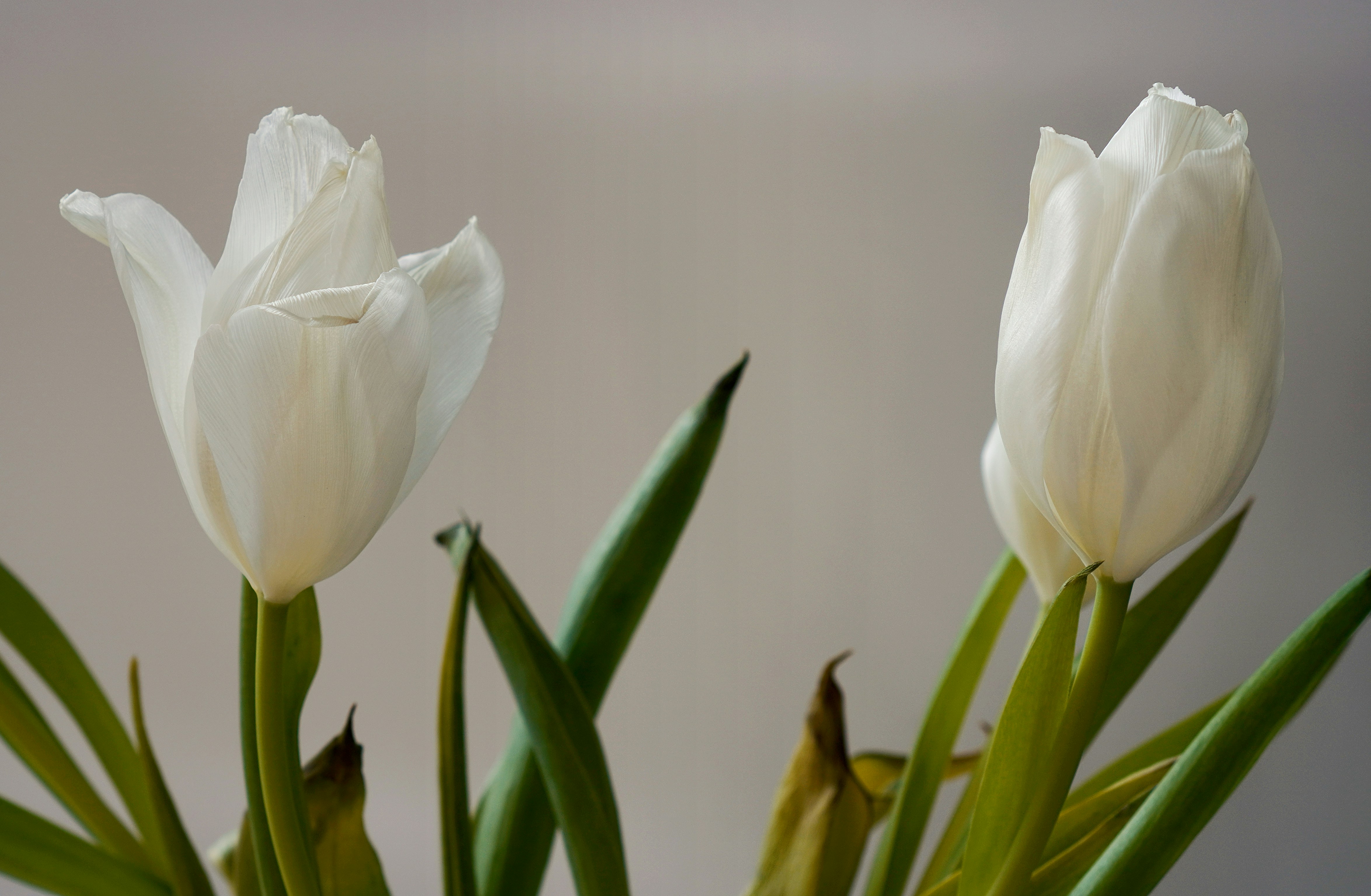 Photo by nataliagasiorowska