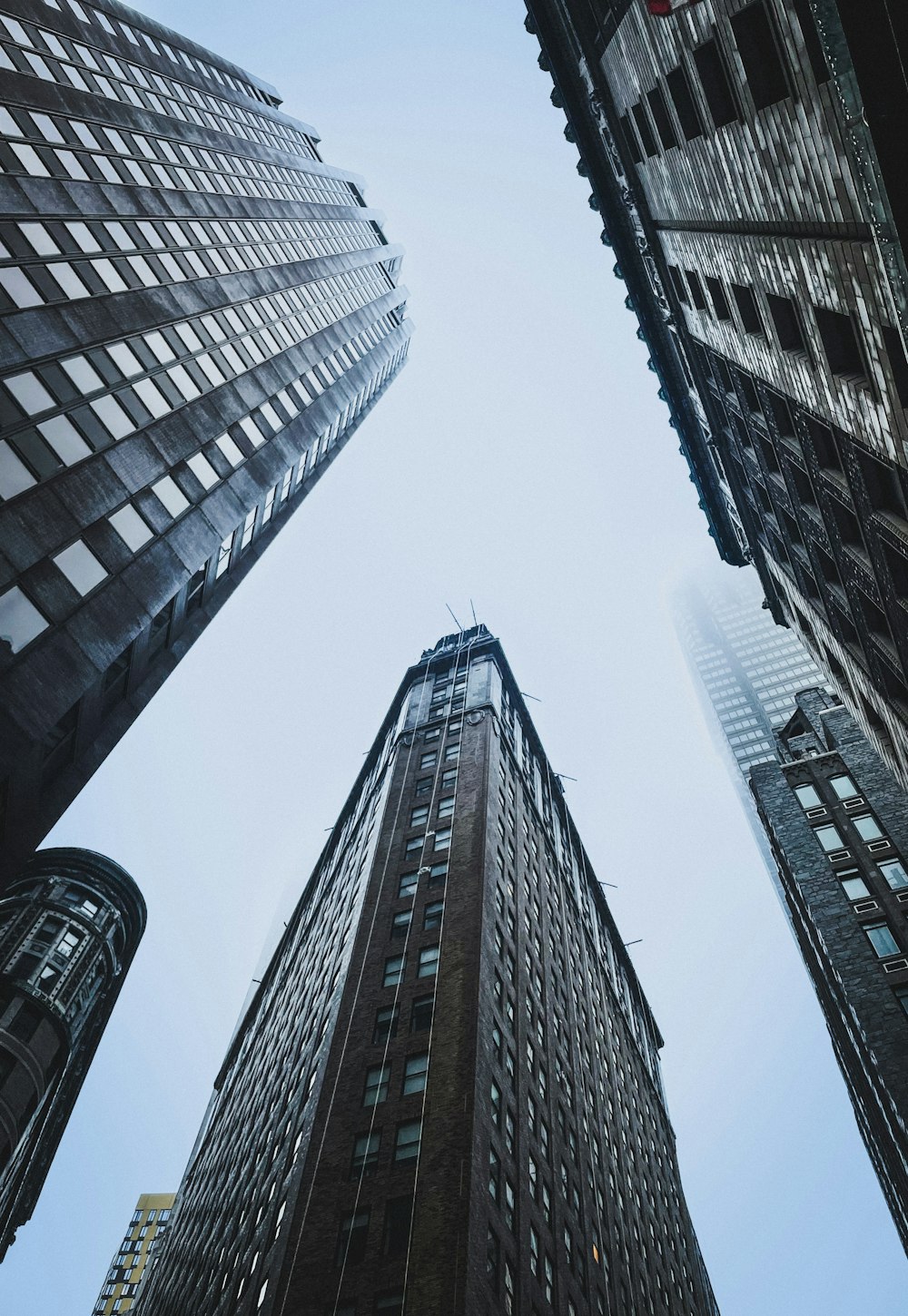 looking up at tall buildings in a city