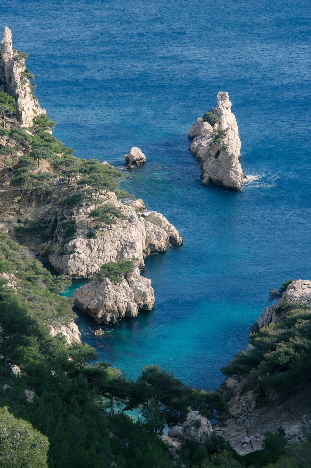 a body of water surrounded by rocks and trees