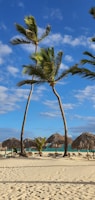 a sandy beach with palm trees and thatched umbrellas