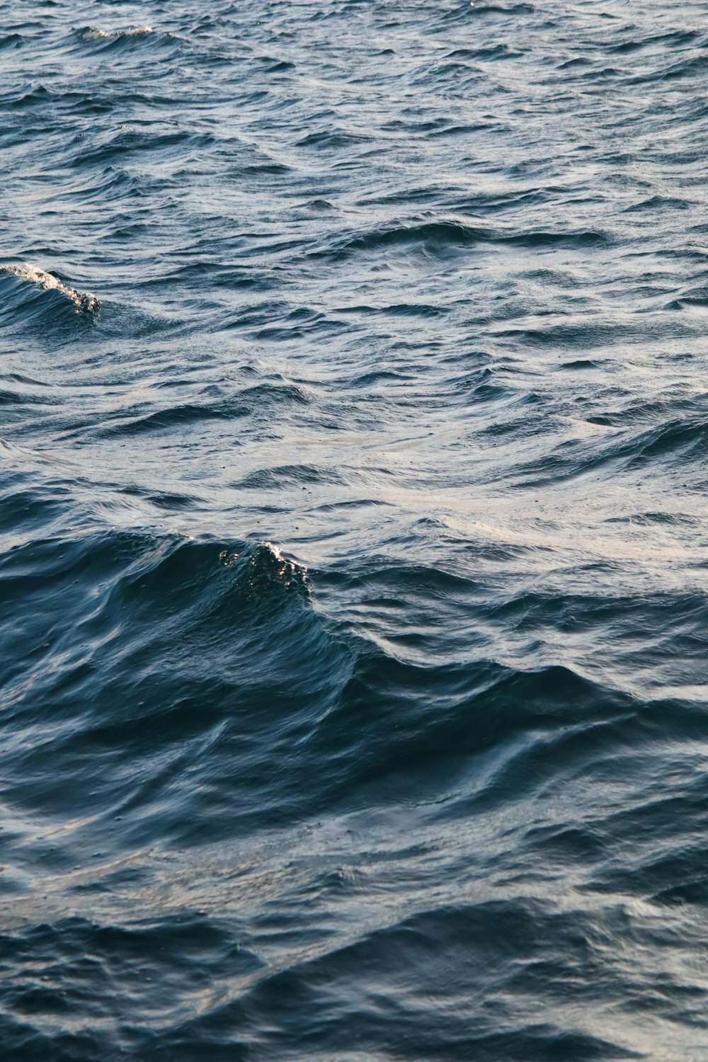 a person riding a surfboard on top of a body of water