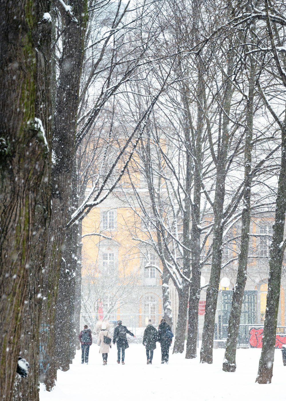 a group of people walking through a snow covered park