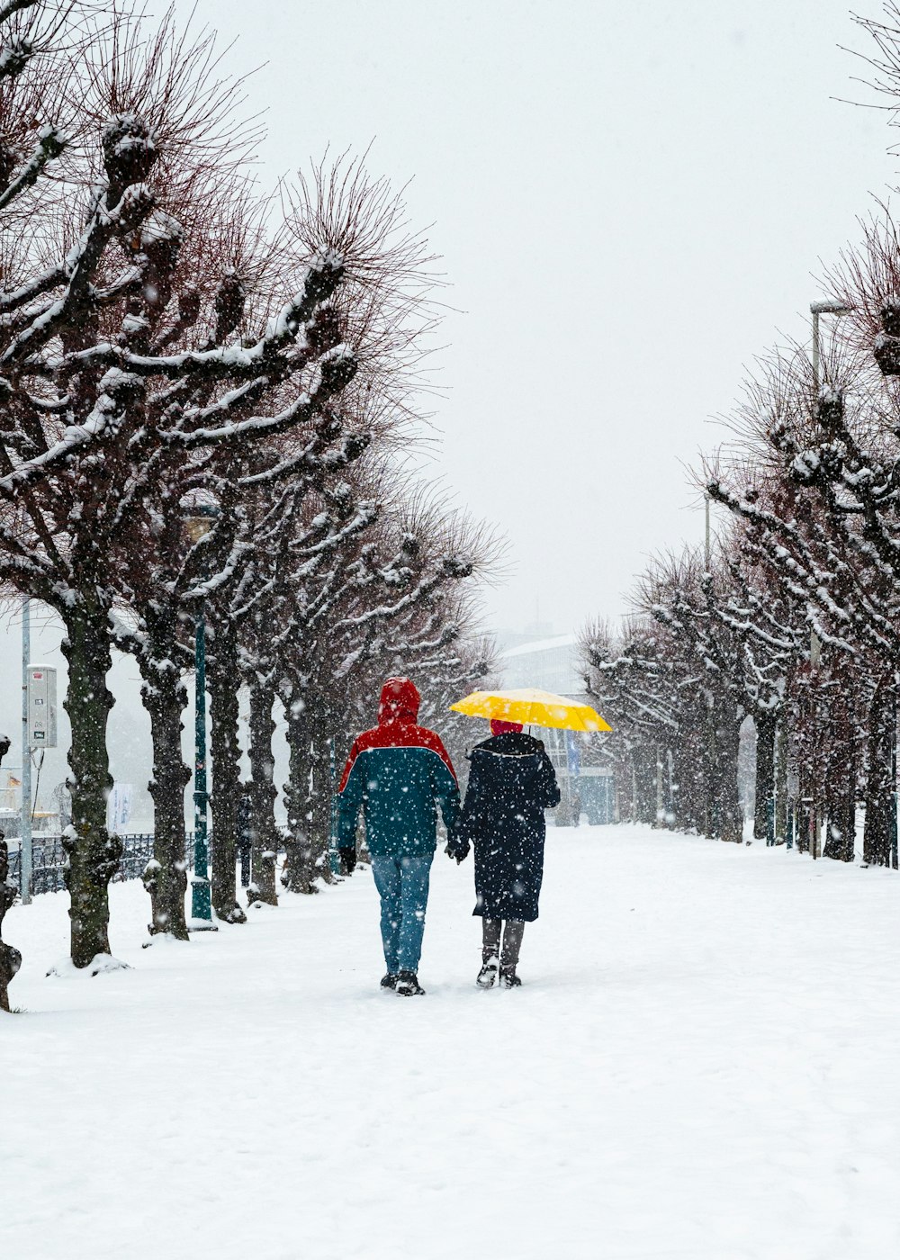 two people walking in the snow with an umbrella