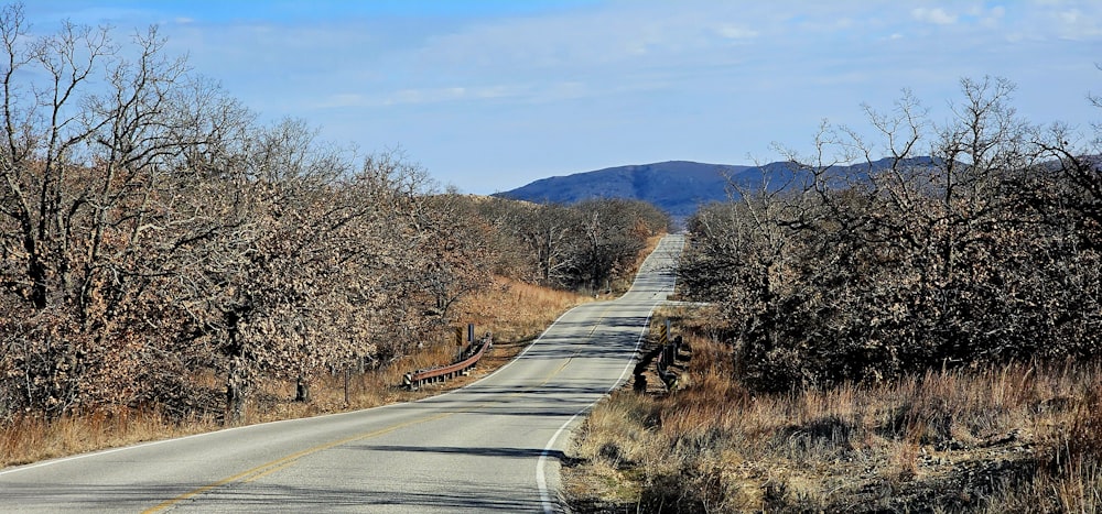 an empty road in the middle of a wooded area