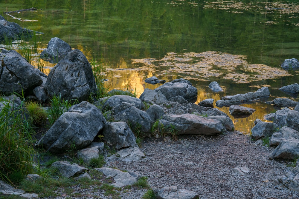 a pond with rocks and plants in the foreground