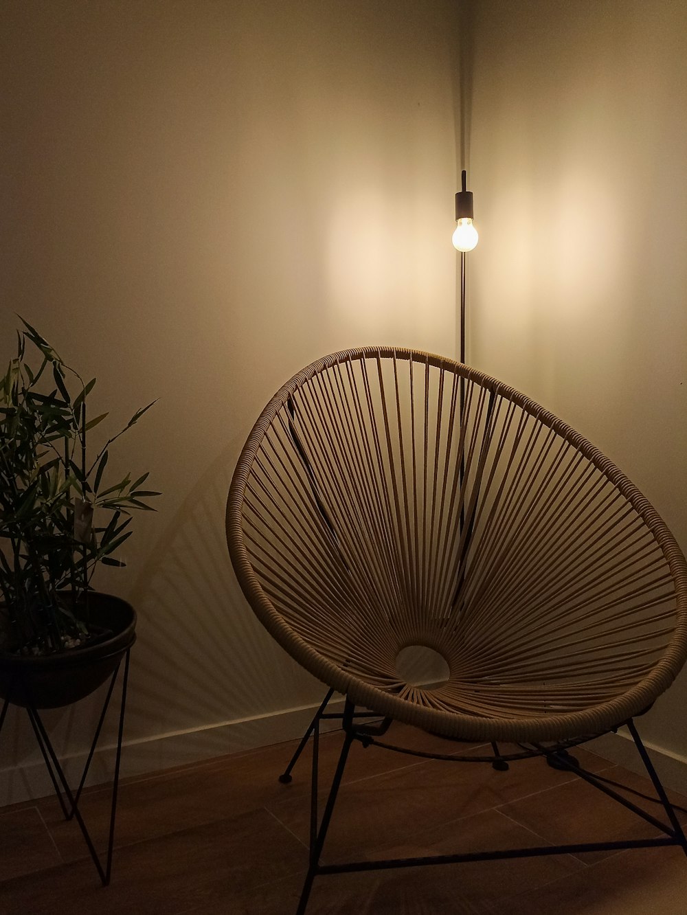 a wicker chair next to a potted plant