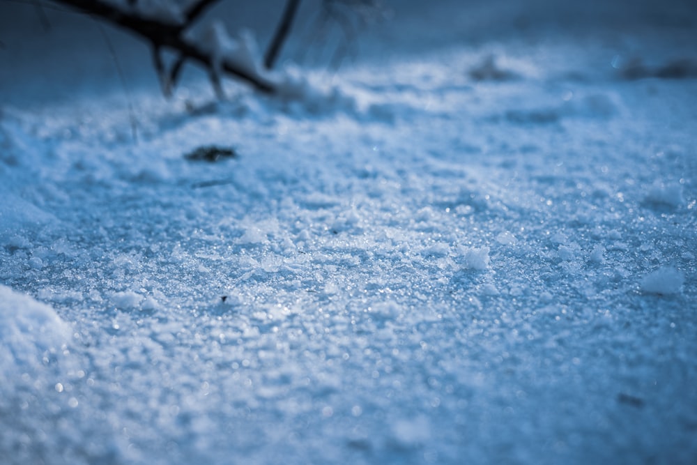 a close up of a snow covered ground