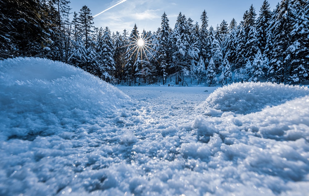 a snow covered field with trees in the background