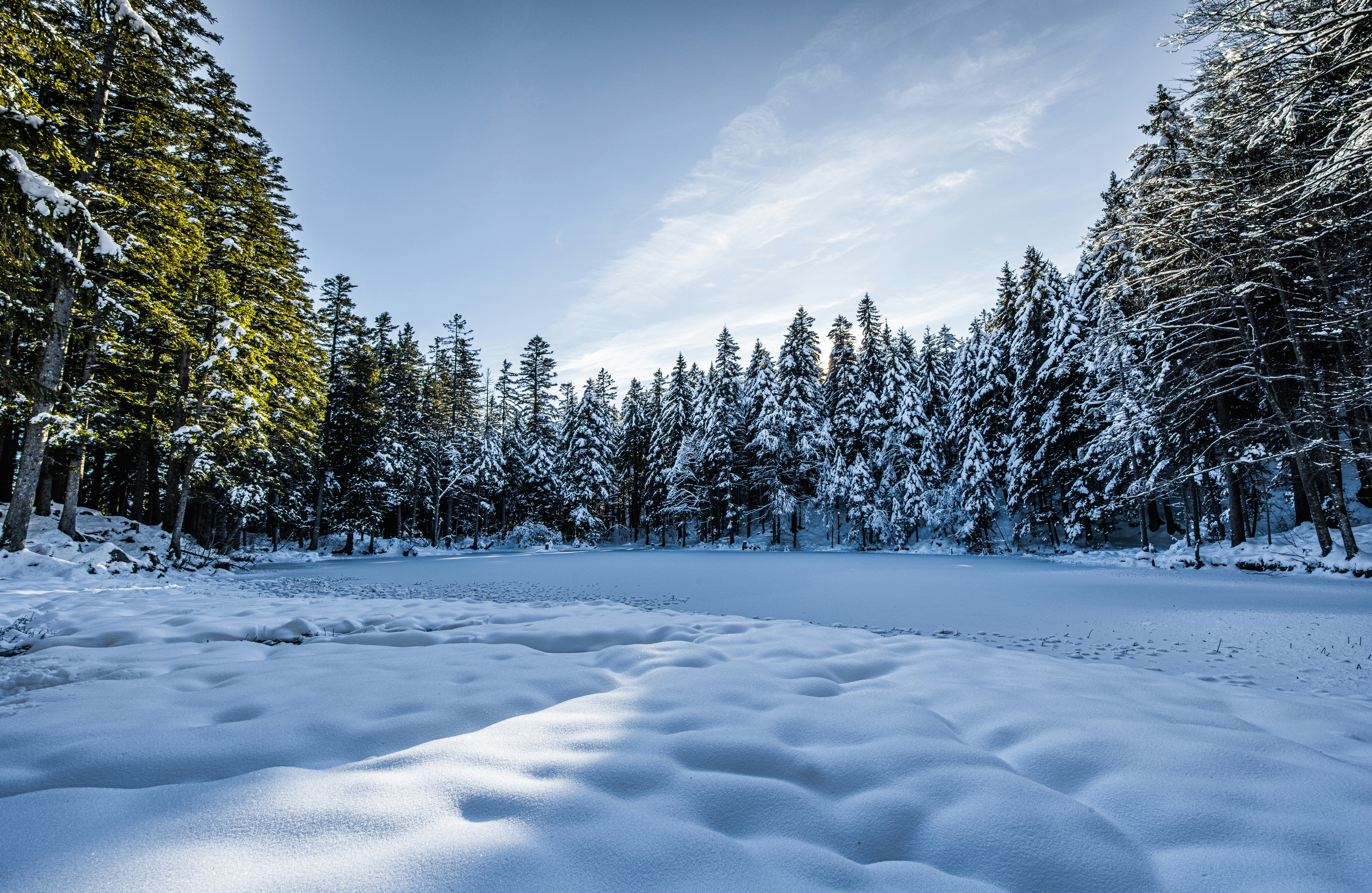 Photo by springsimon