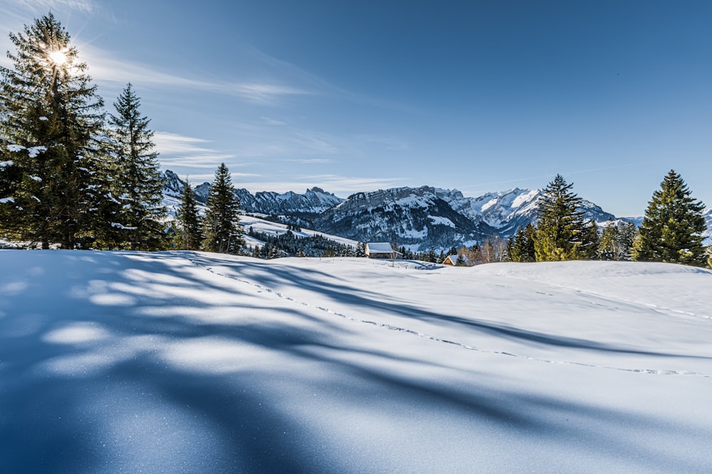 the sun shines on the snow covered mountains