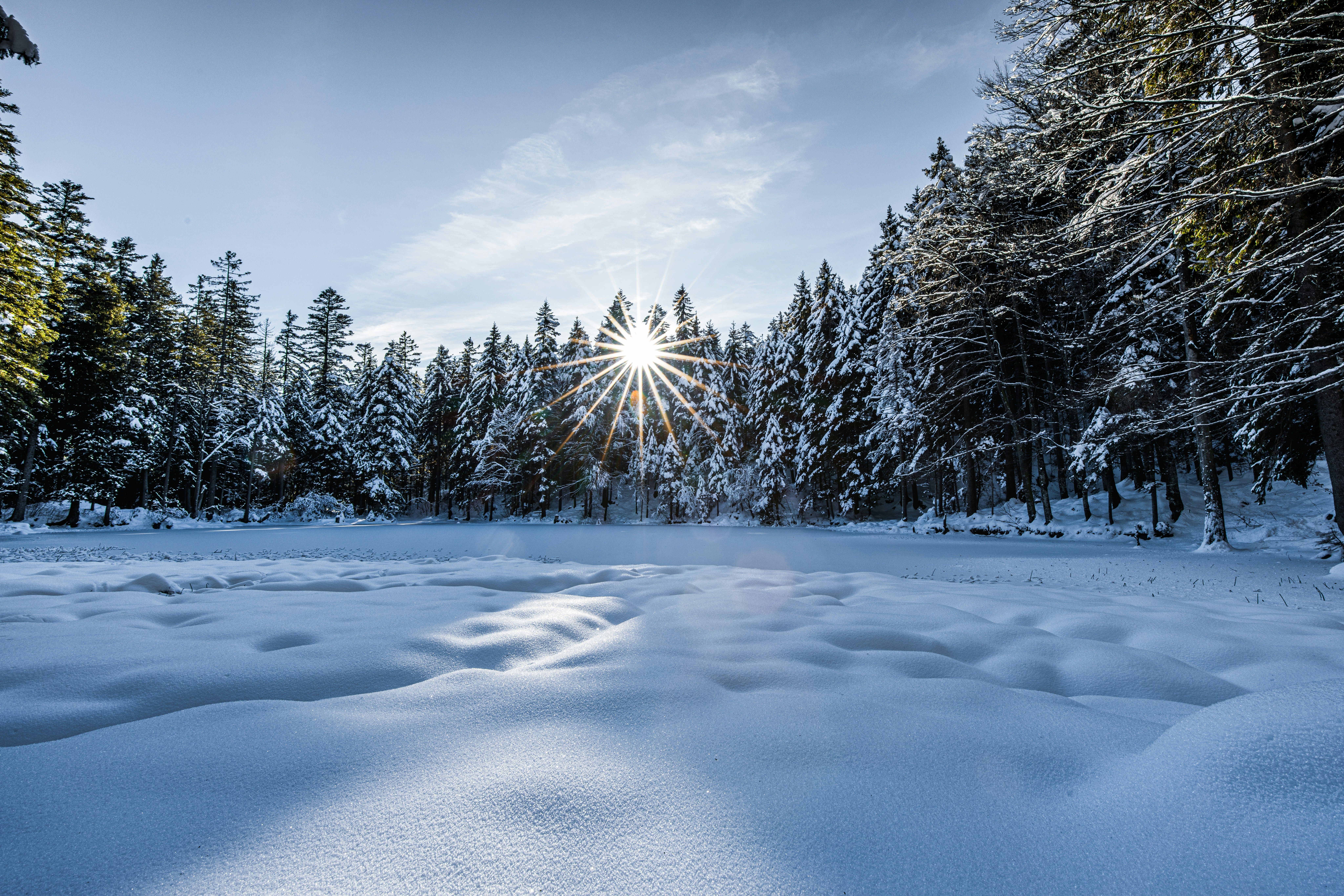 Photo by springsimon