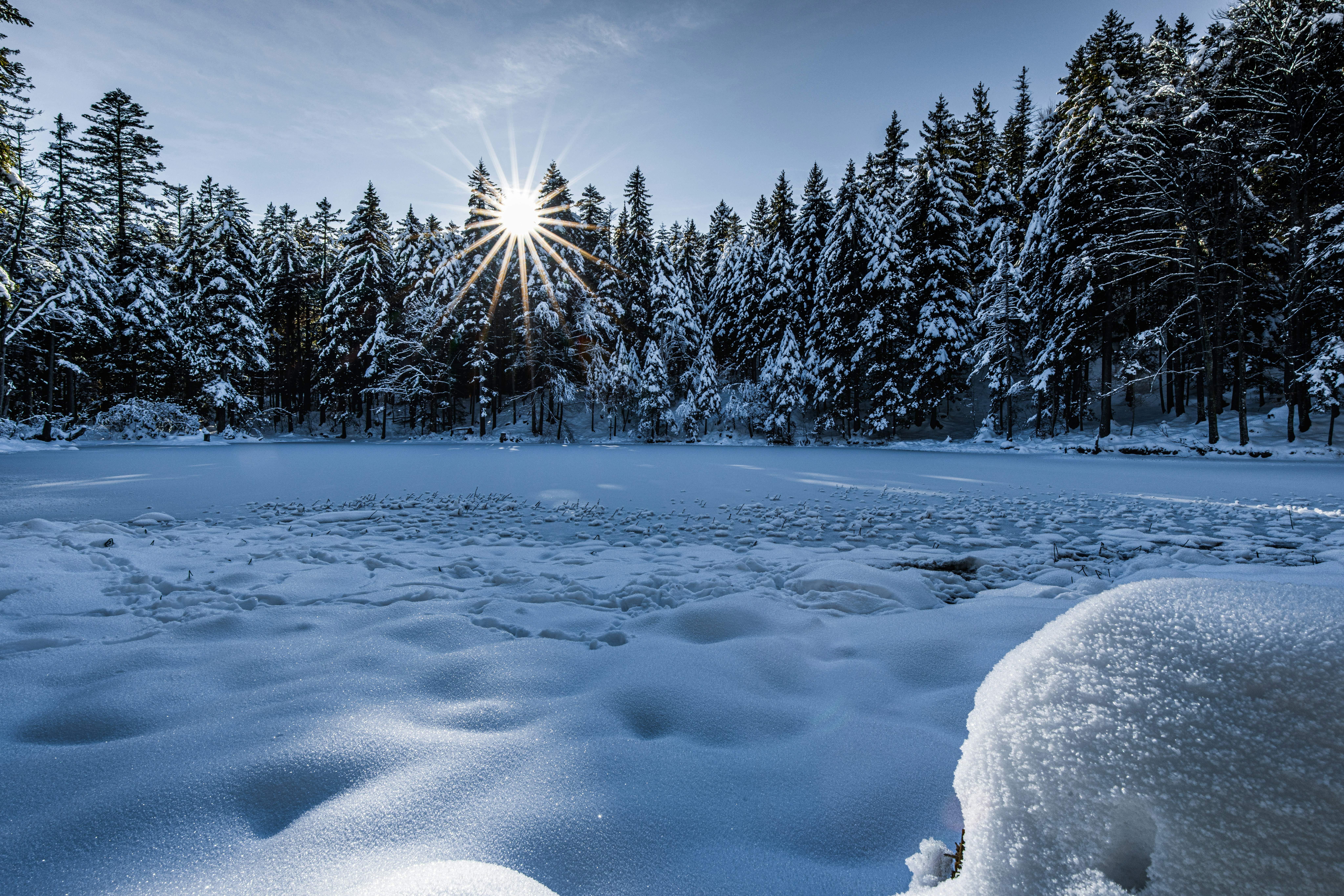 Photo by springsimon