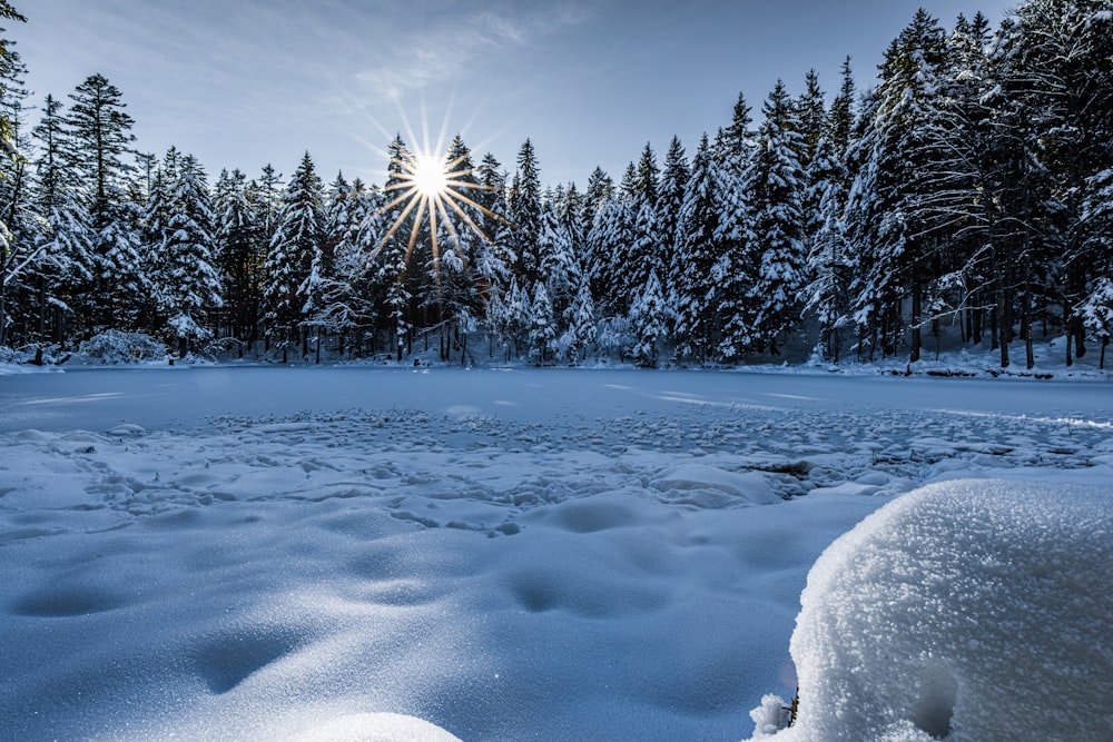 the sun shines brightly over a snow covered field