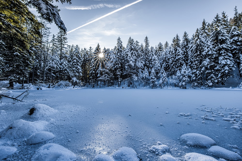 a frozen lake surrounded by snow covered trees