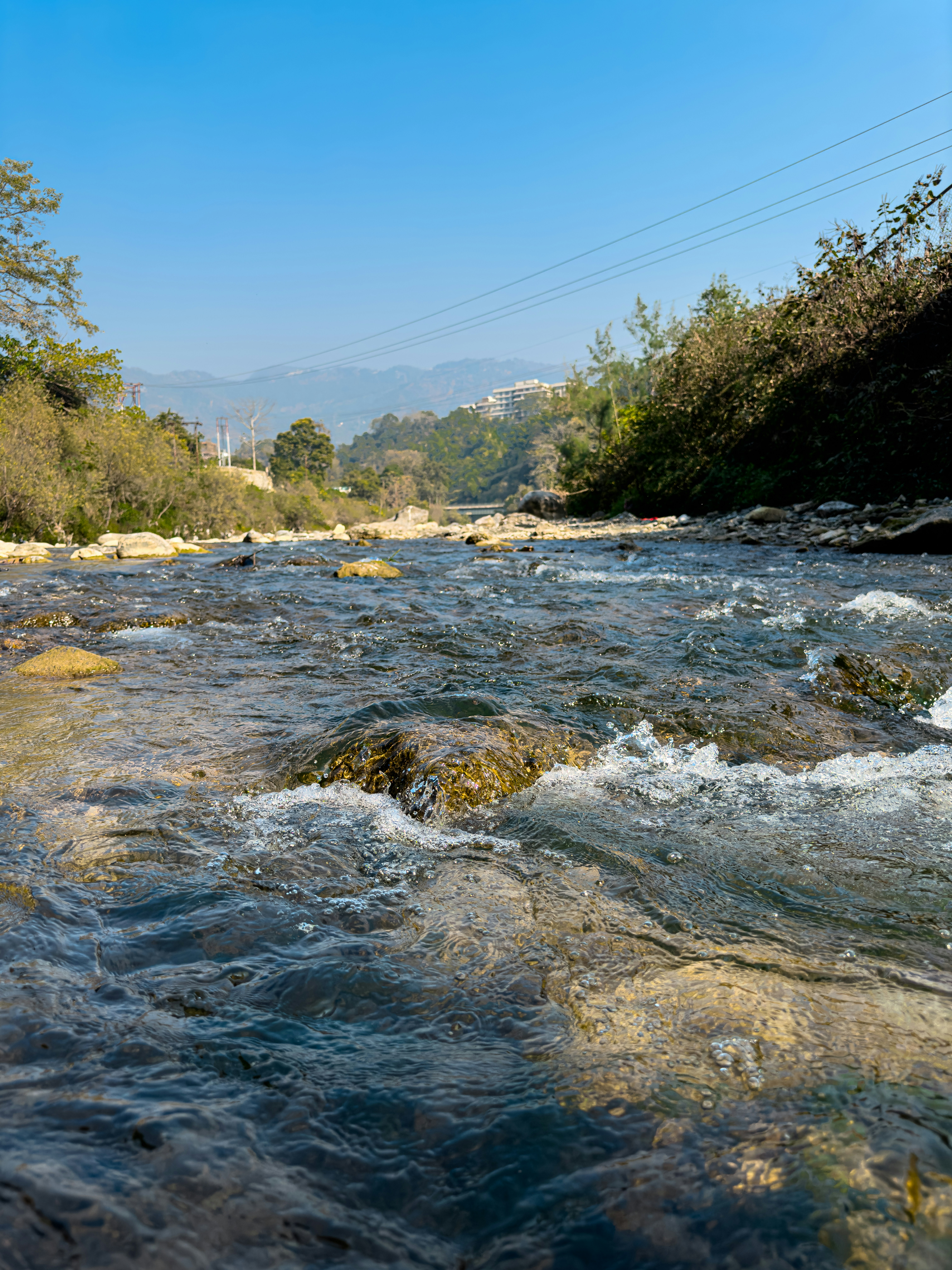 une rivière qui coule à travers une forêt verdoyante