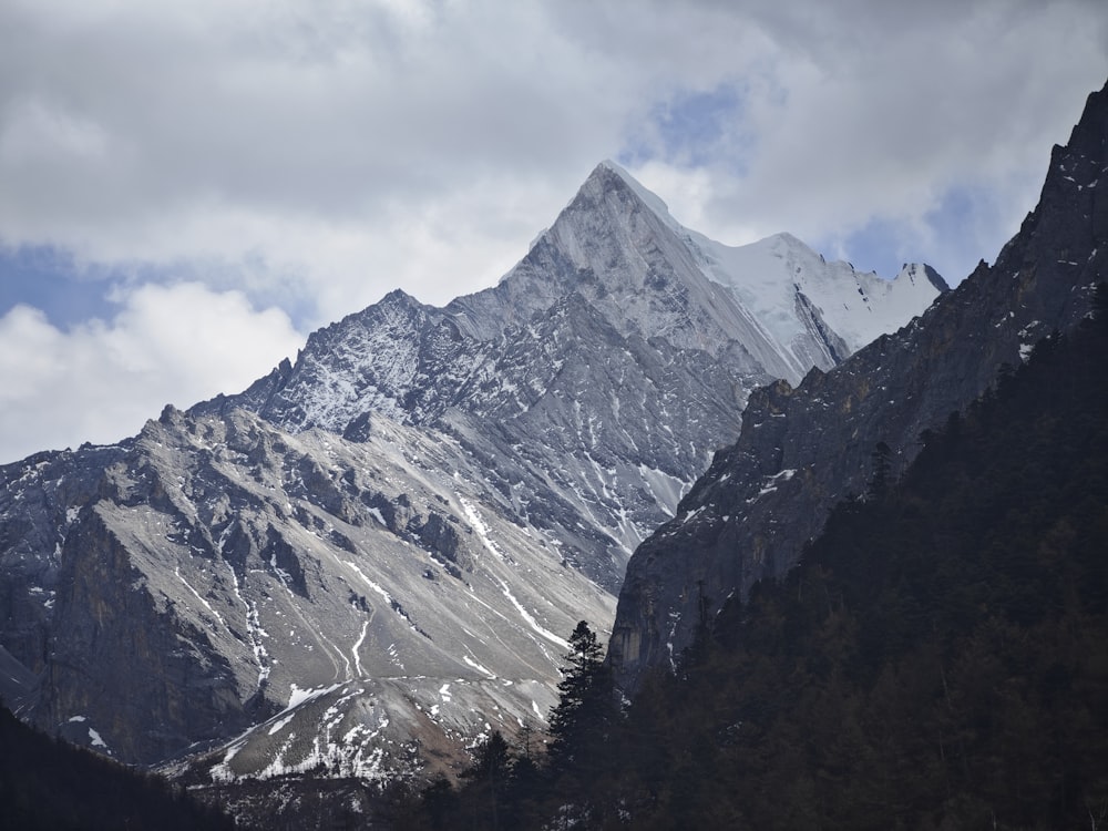 a snow covered mountain with trees in the foreground