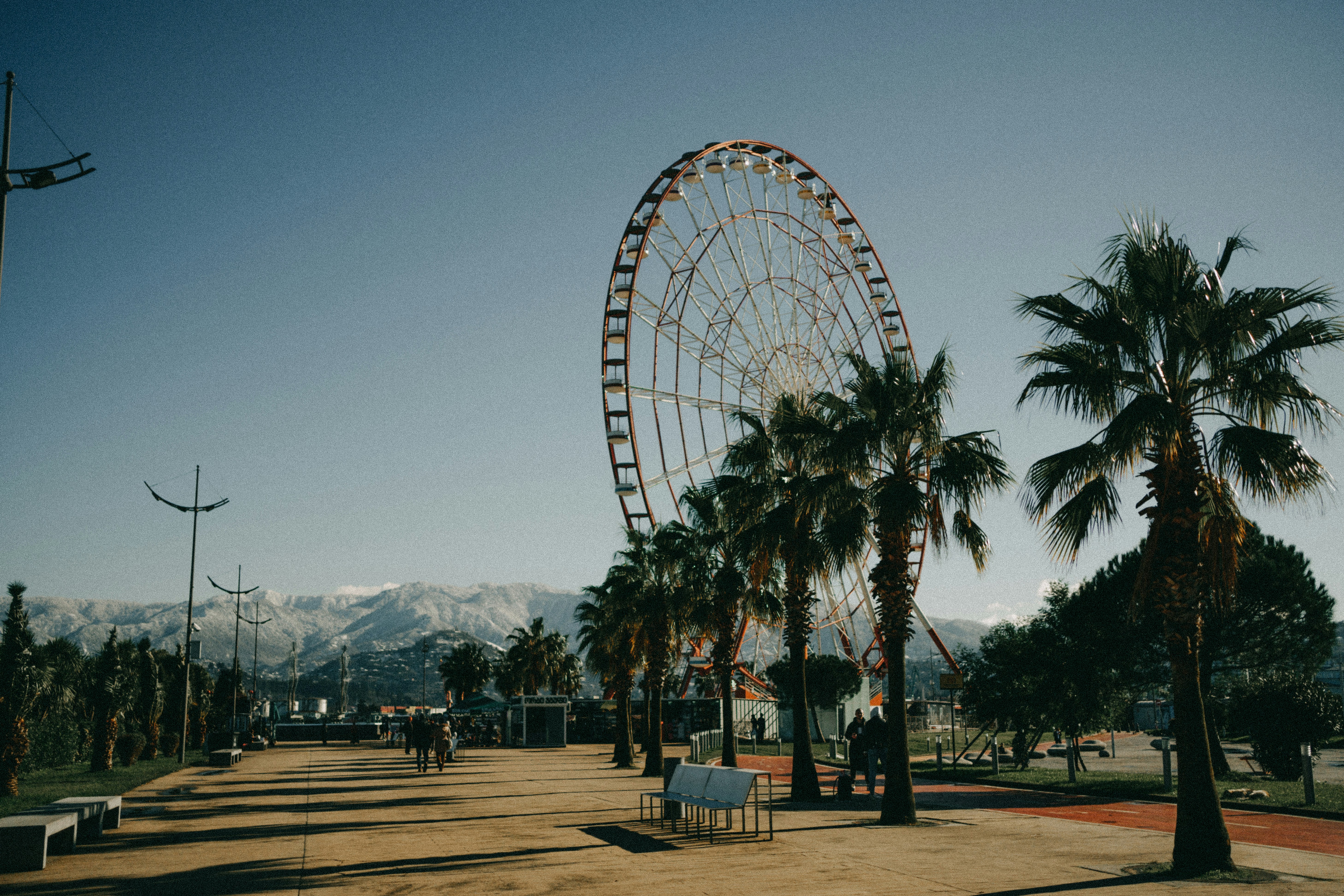 большое колесо обозрения рядом с пальмами