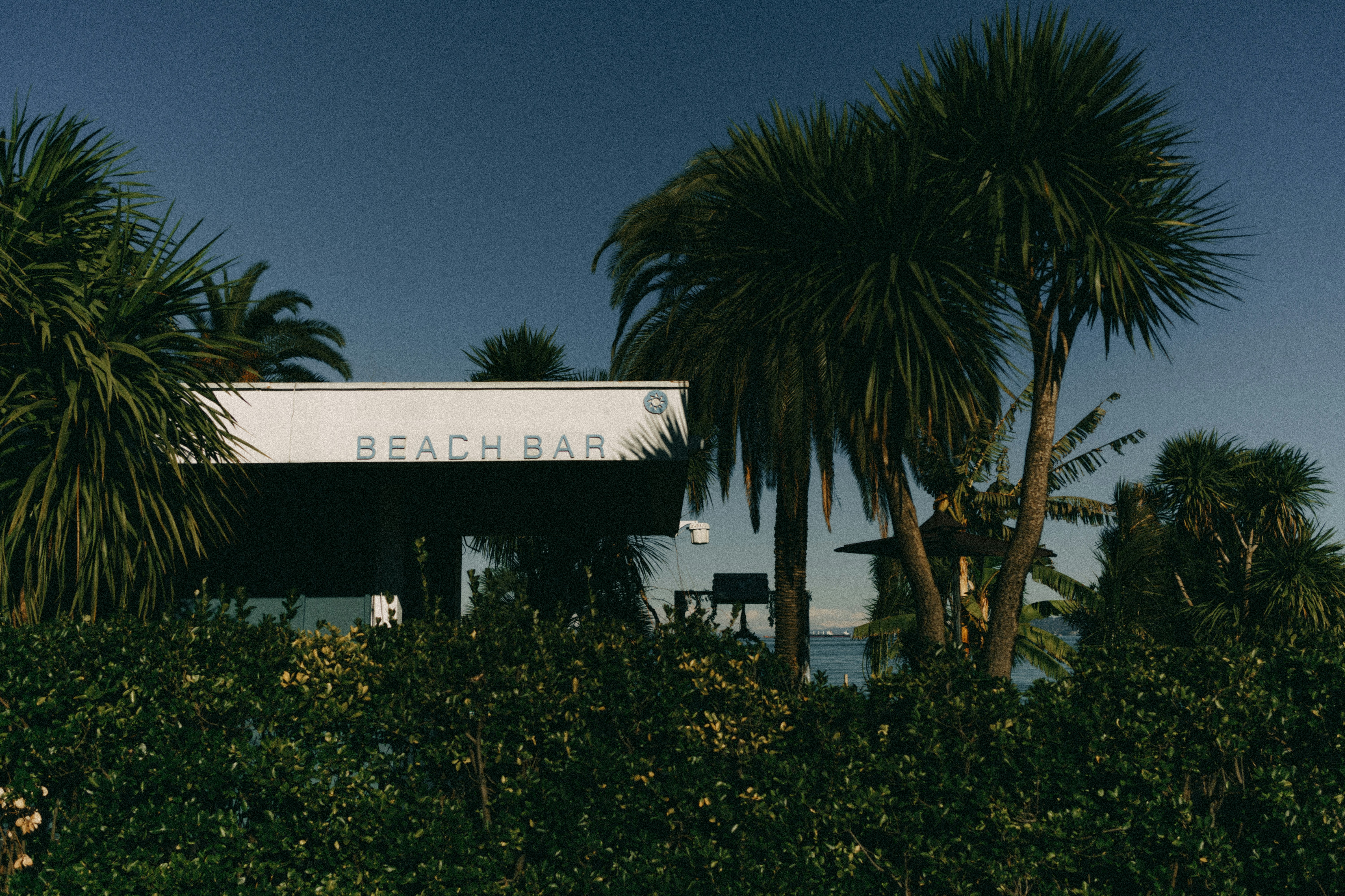 Photo by arinaalabugina