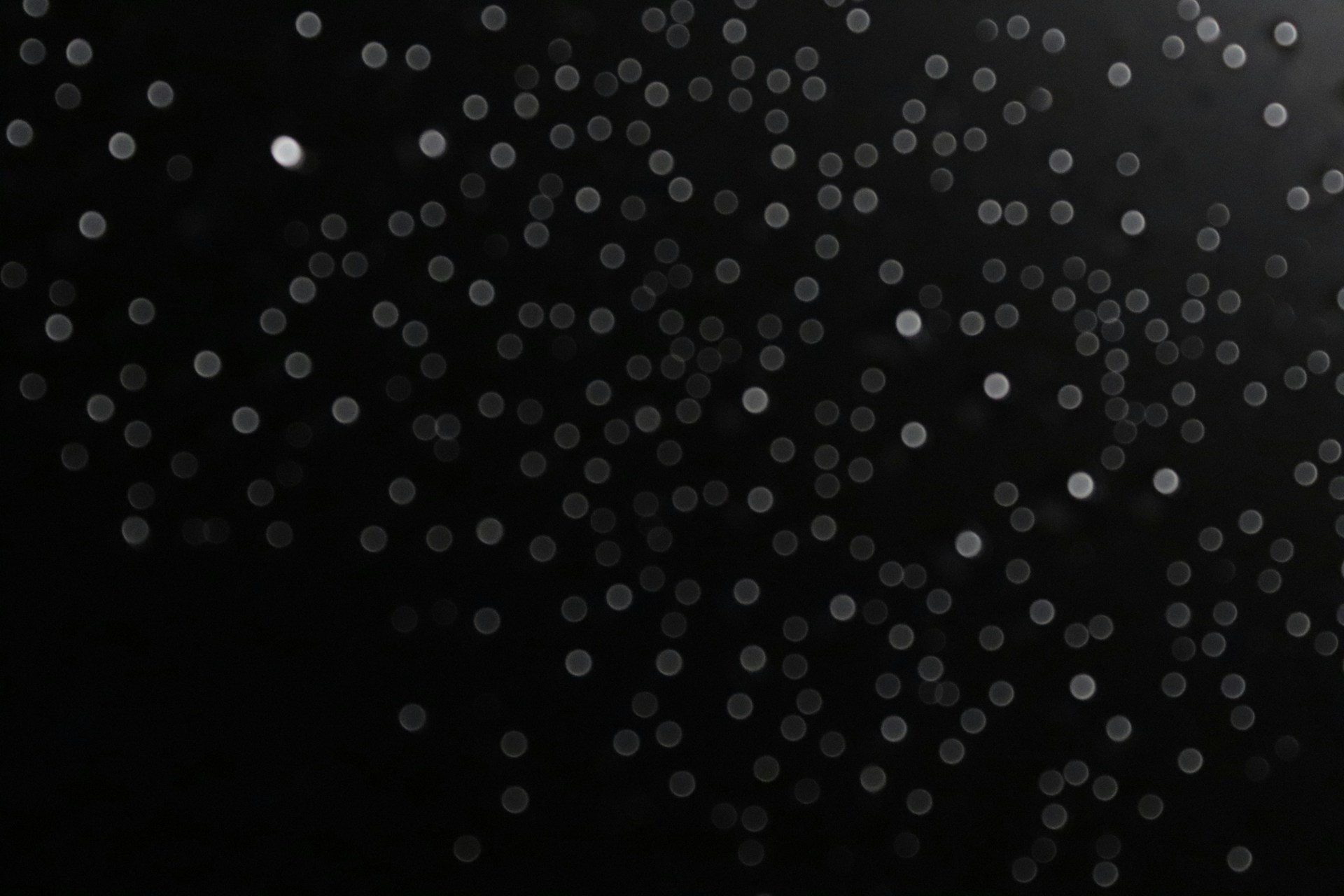 a black and white photo of rain drops