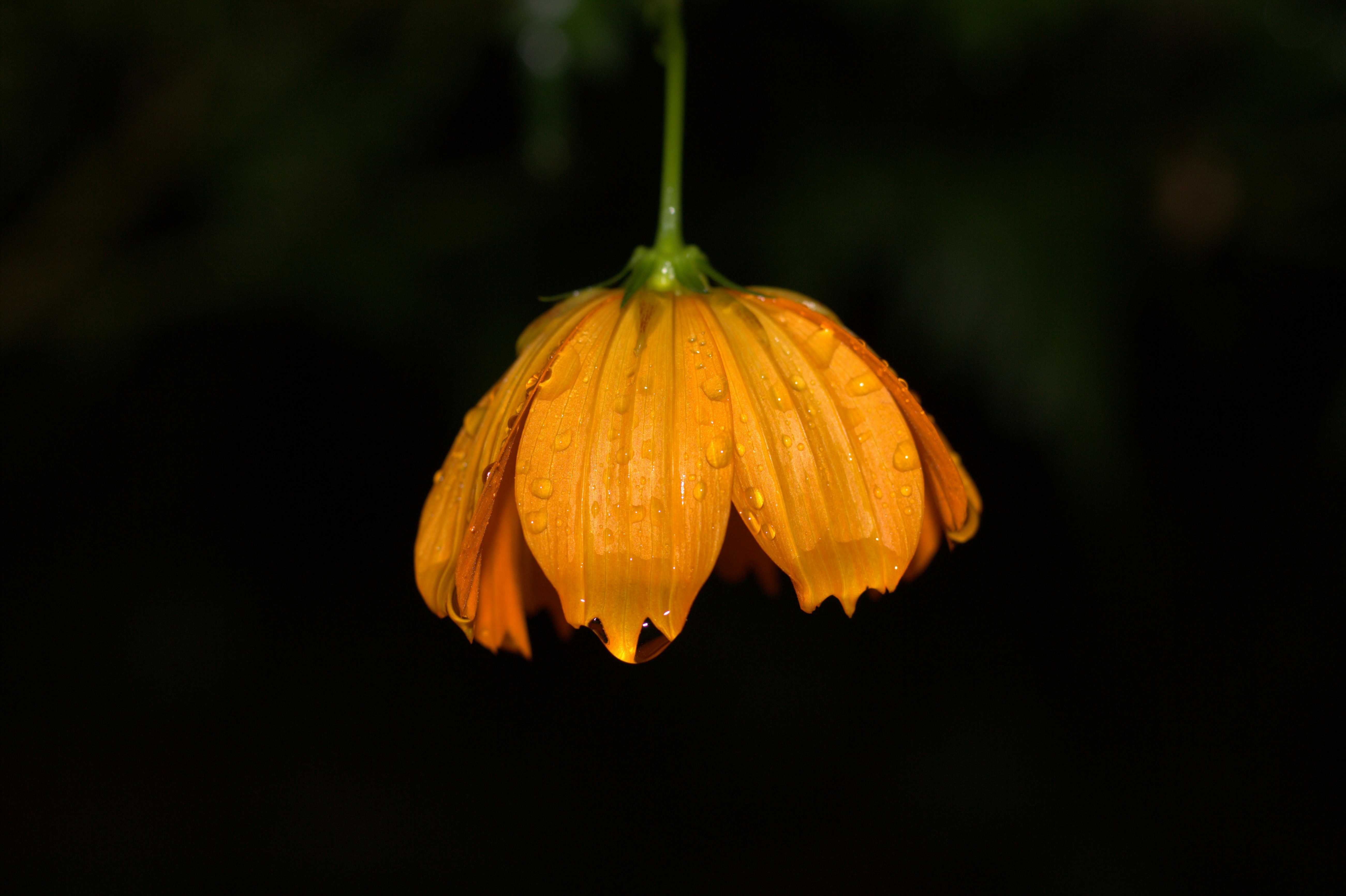 Photo by w_fotograph