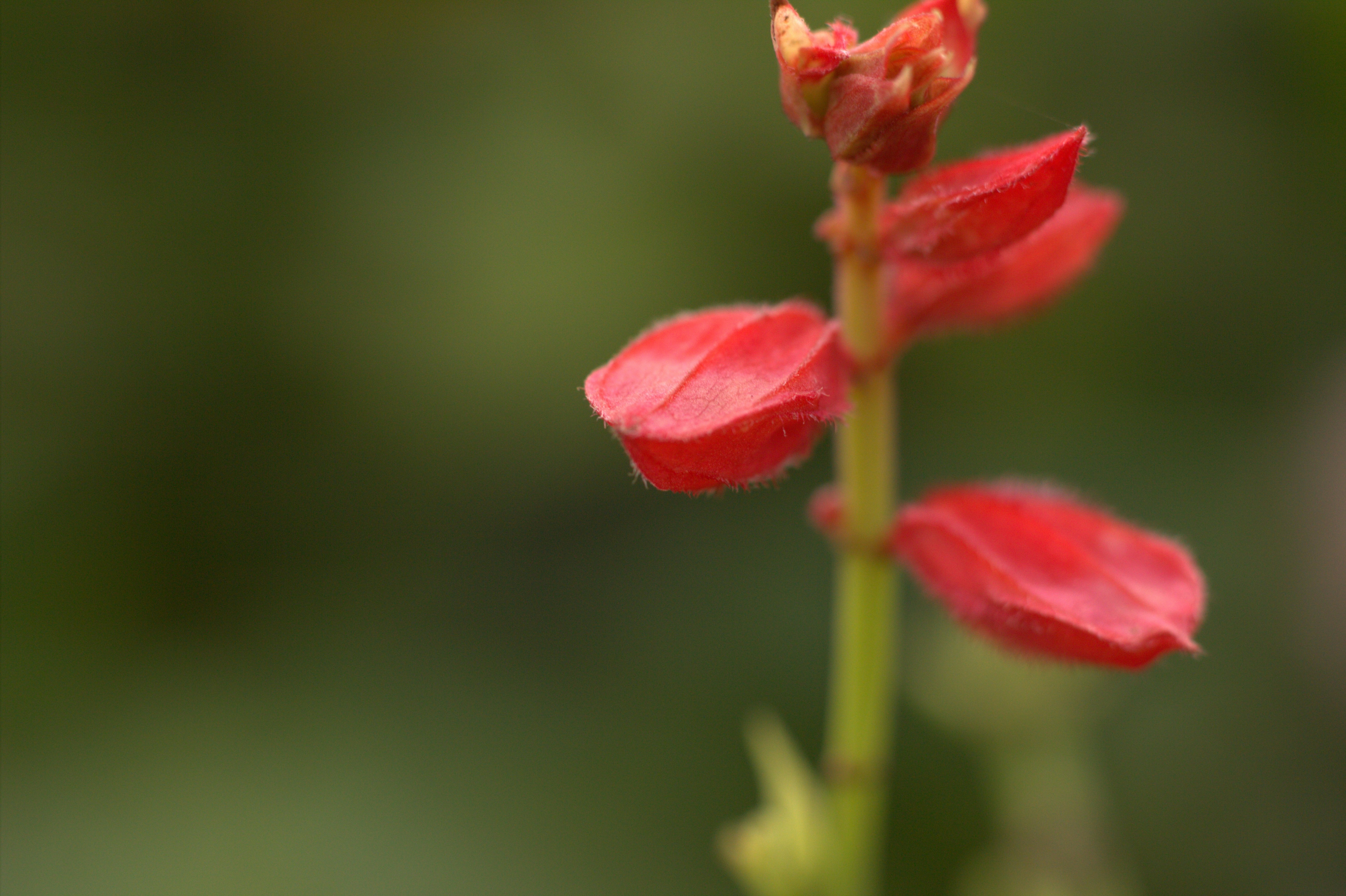 Photo by w_fotograph