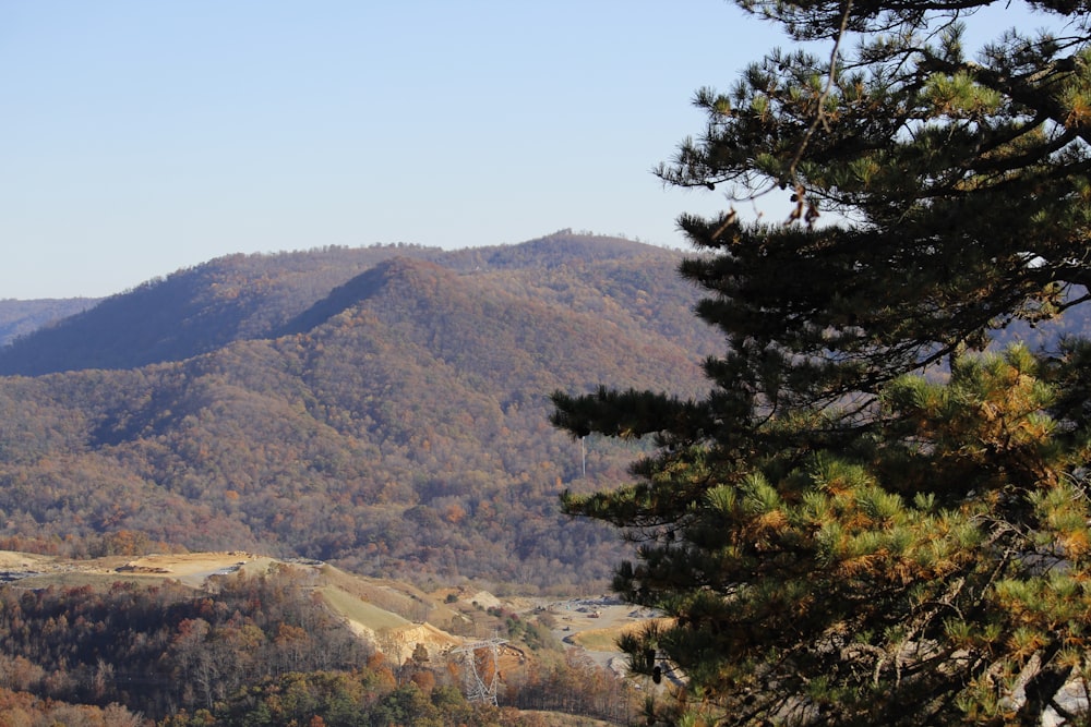 a view of the mountains from a distance