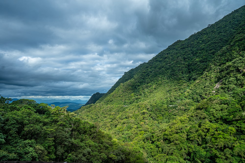 uma vista de um lado verde exuberante da montanha