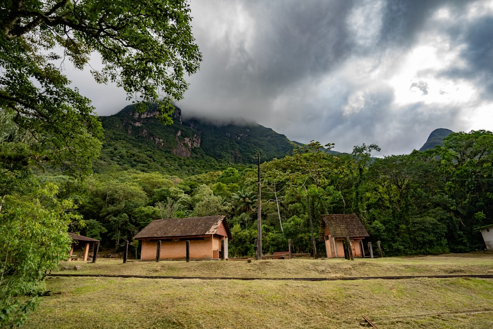 a couple of small houses sitting in the middle of a forest