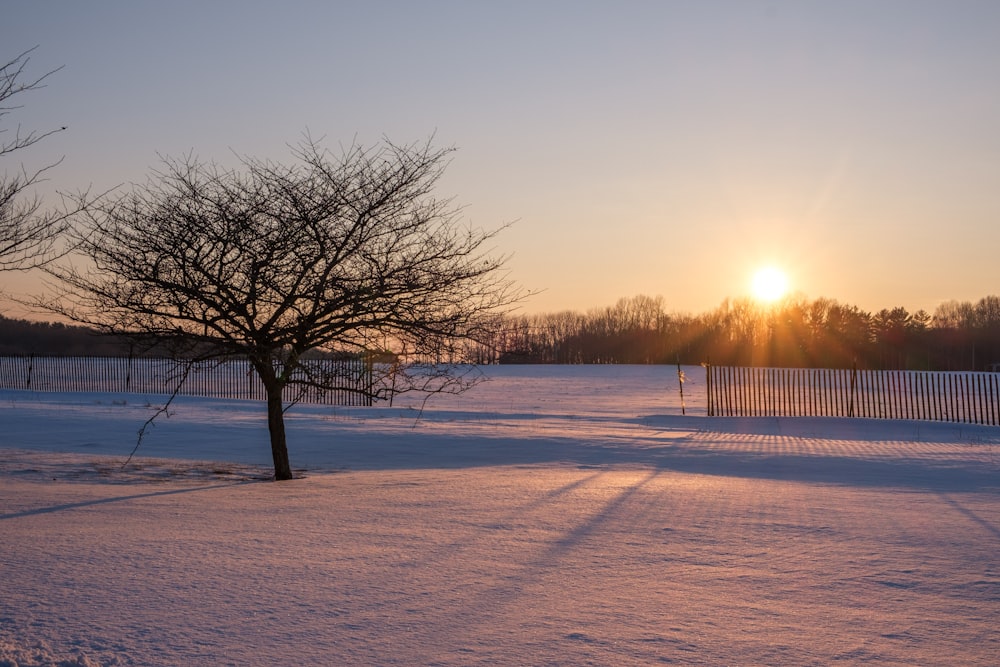 the sun is setting over a snowy field