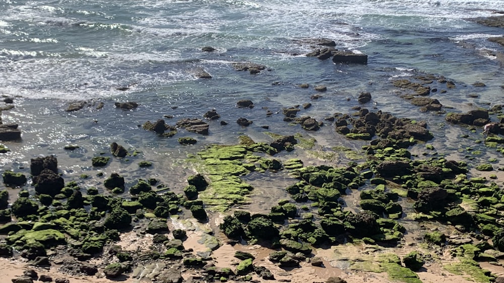 a view of the ocean and rocks from above