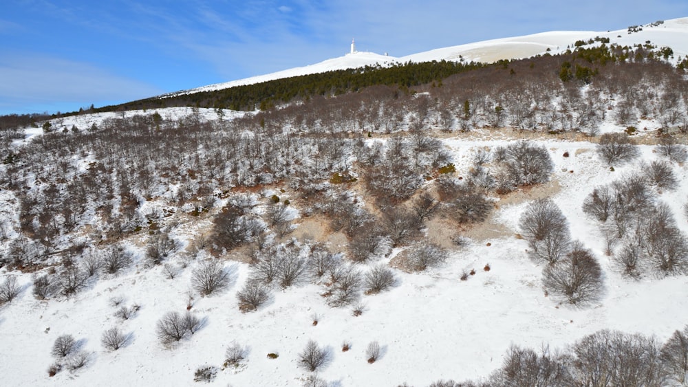 a snow covered hill with trees and a sky background