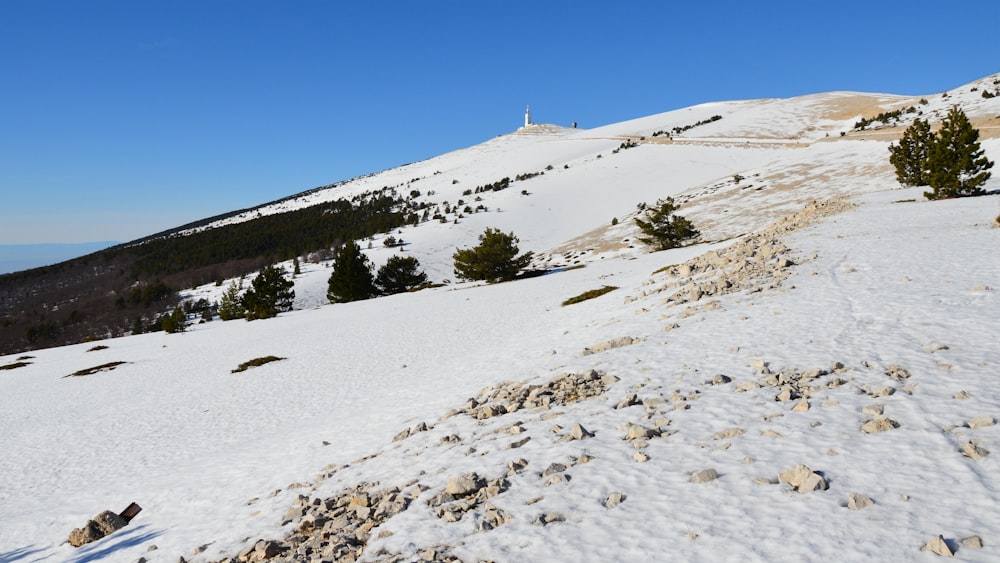 a snow covered mountain with rocks and trees