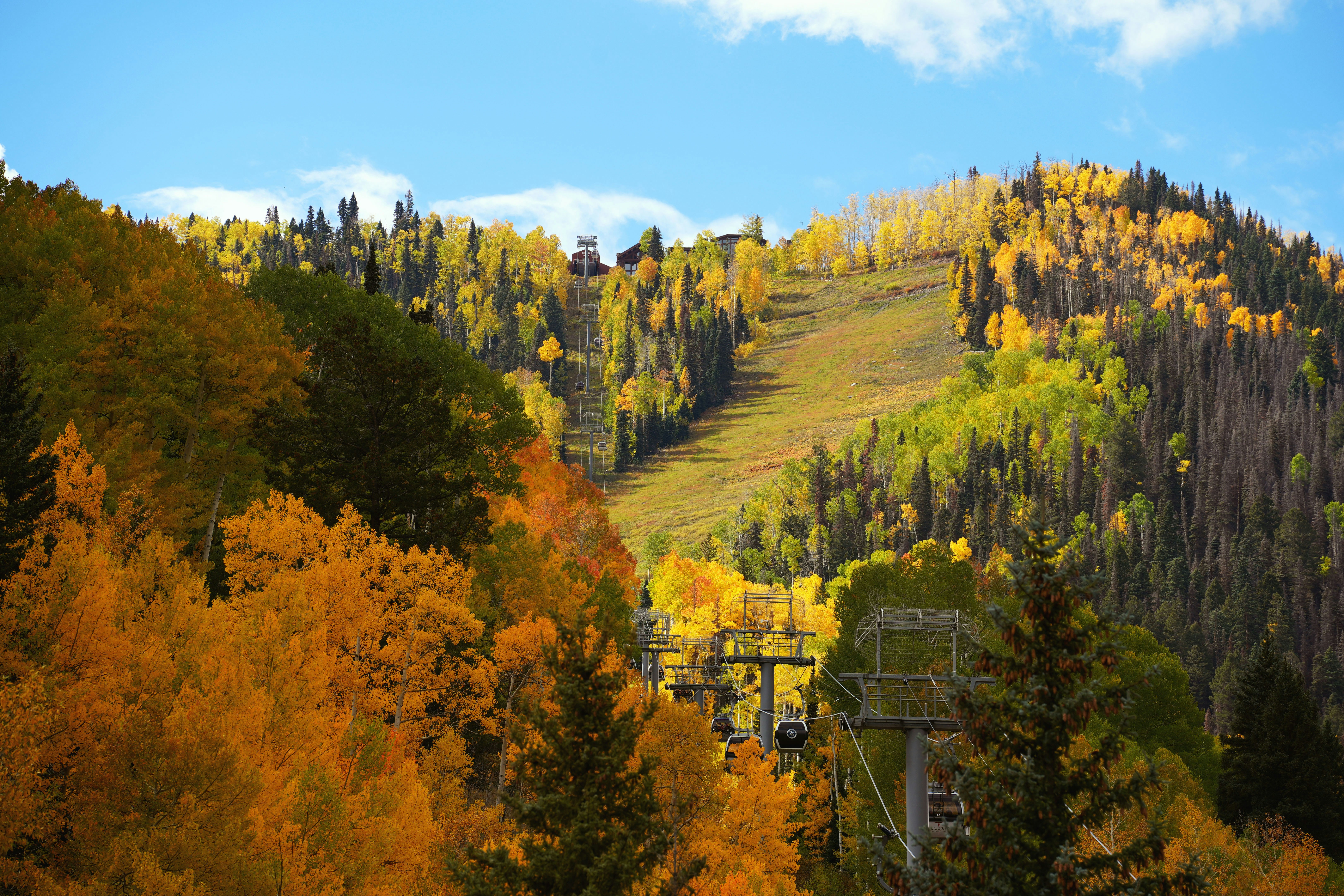 a ski lift going up a mountain with trees in the foreground, 