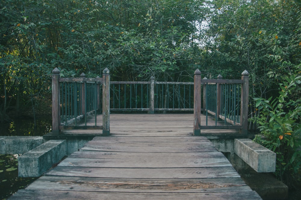 a wooden bridge surrounded by trees and bushes