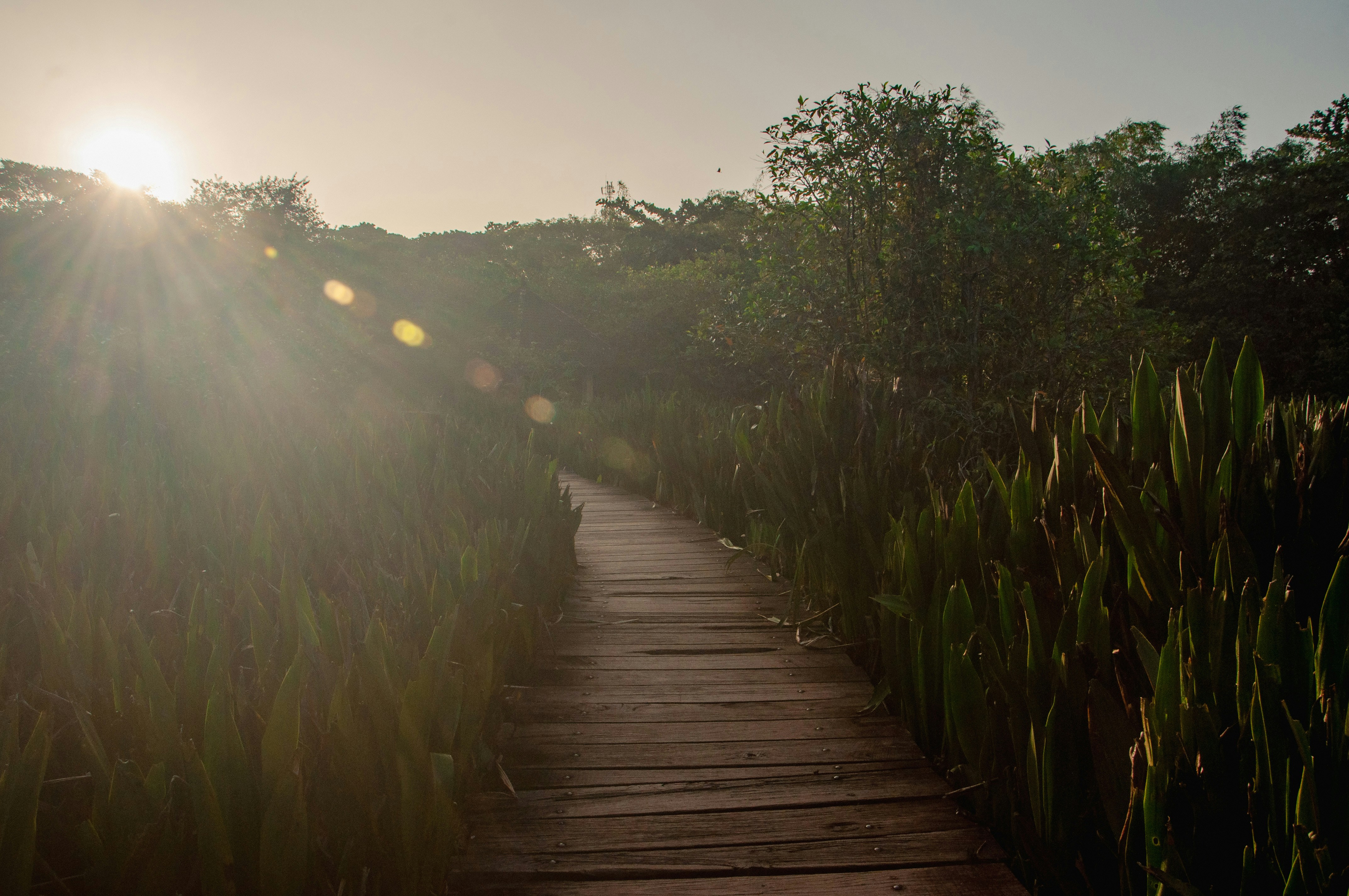 Photo by yanukadeneth99