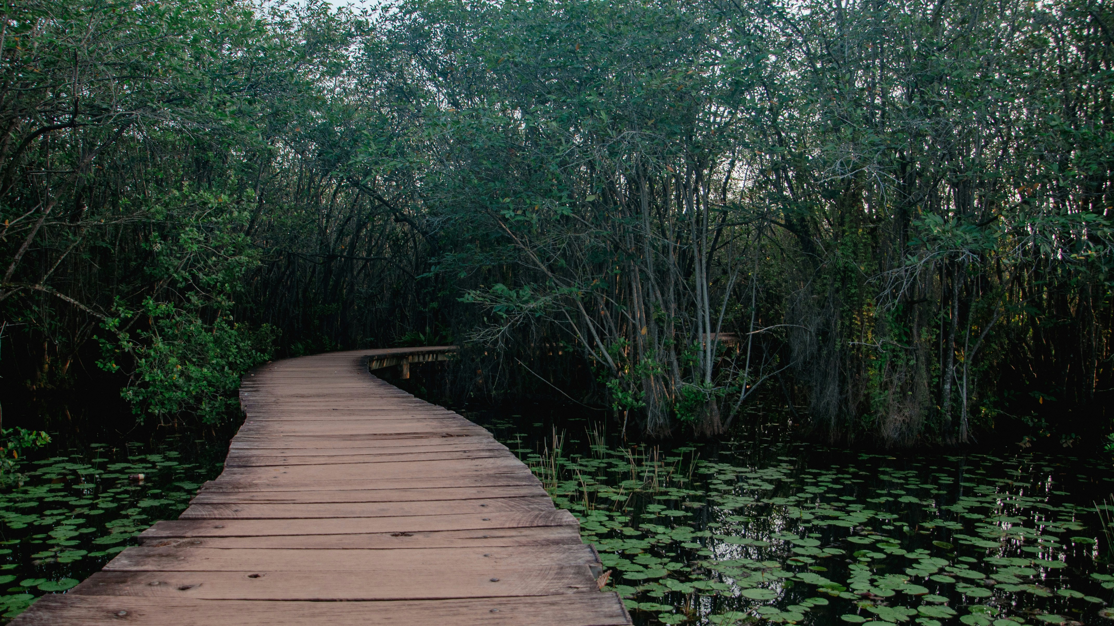 Photo by yanukadeneth99