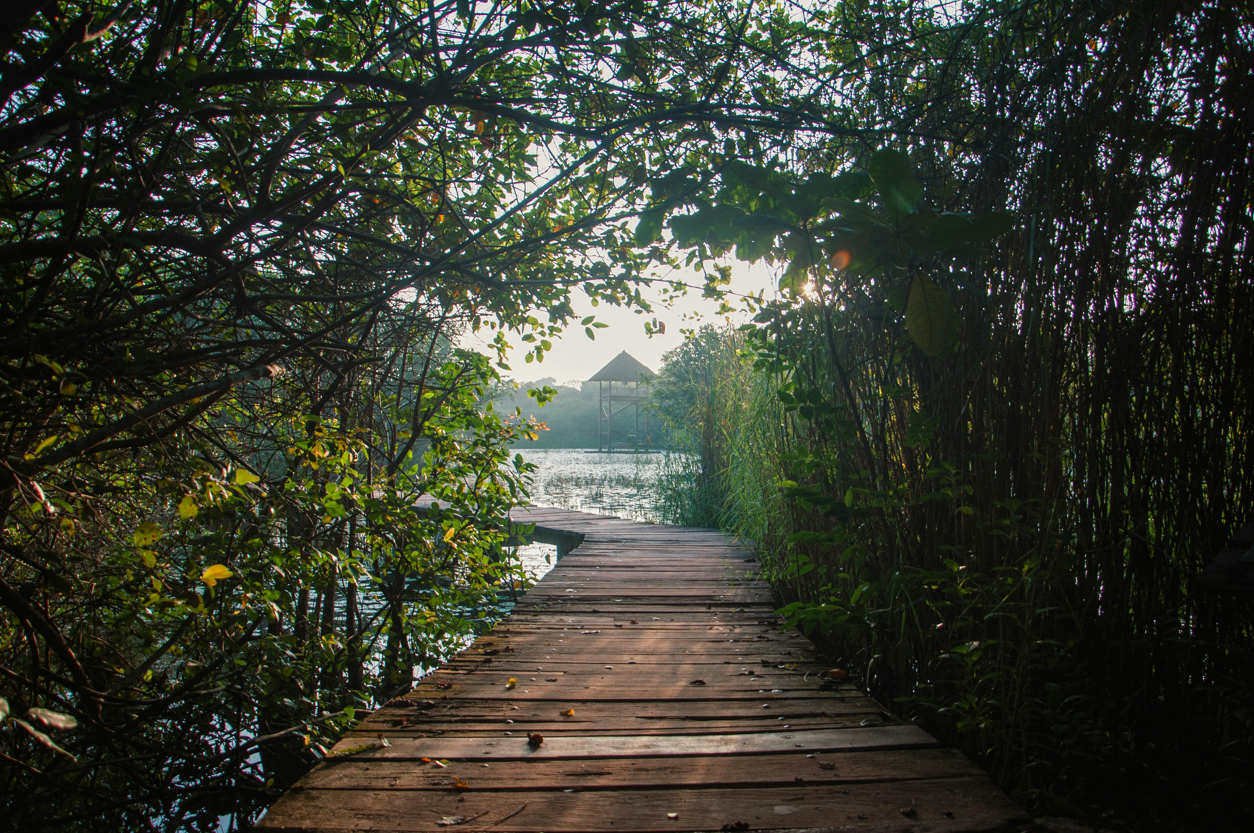 Photo by yanukadeneth99