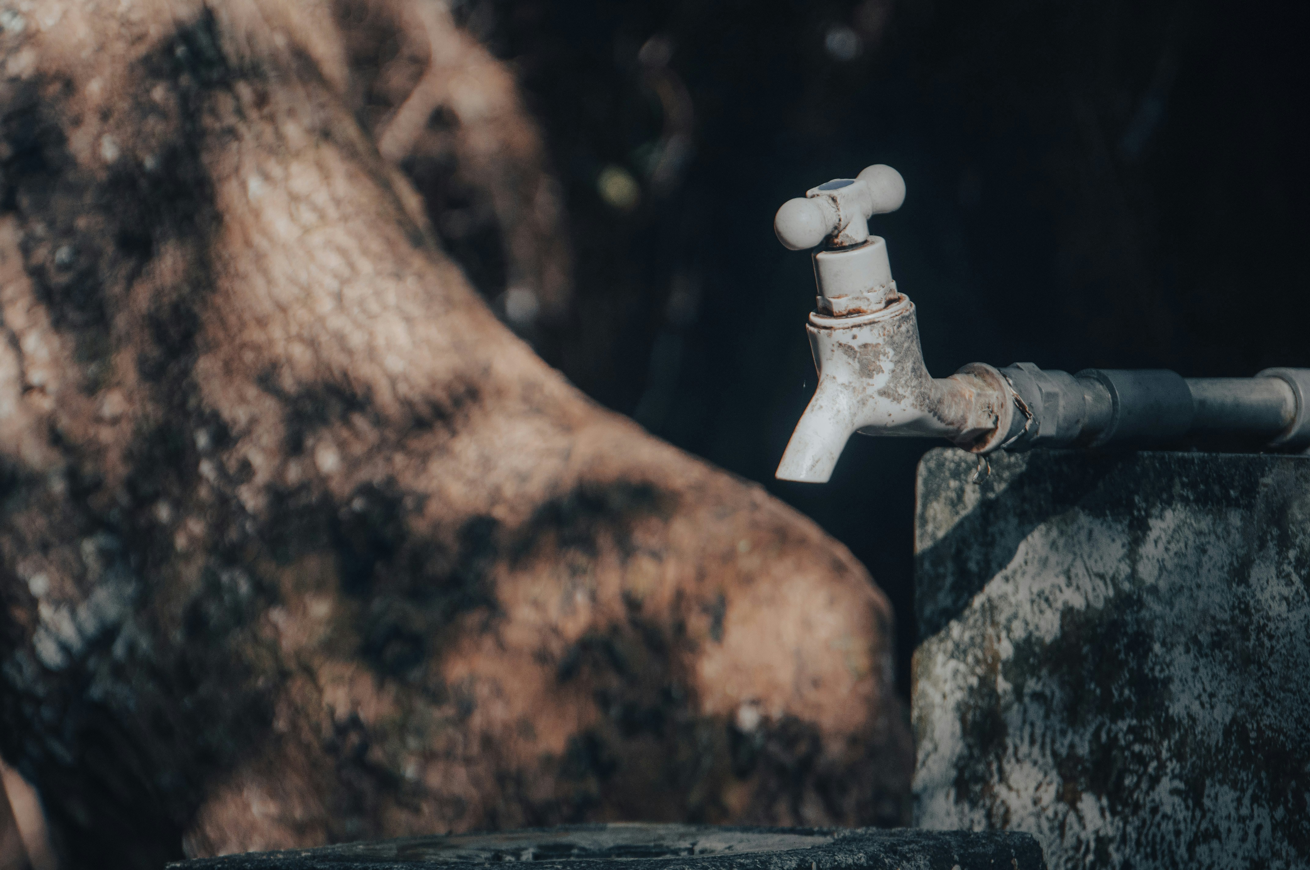 a close up of a faucet with a tree in the background