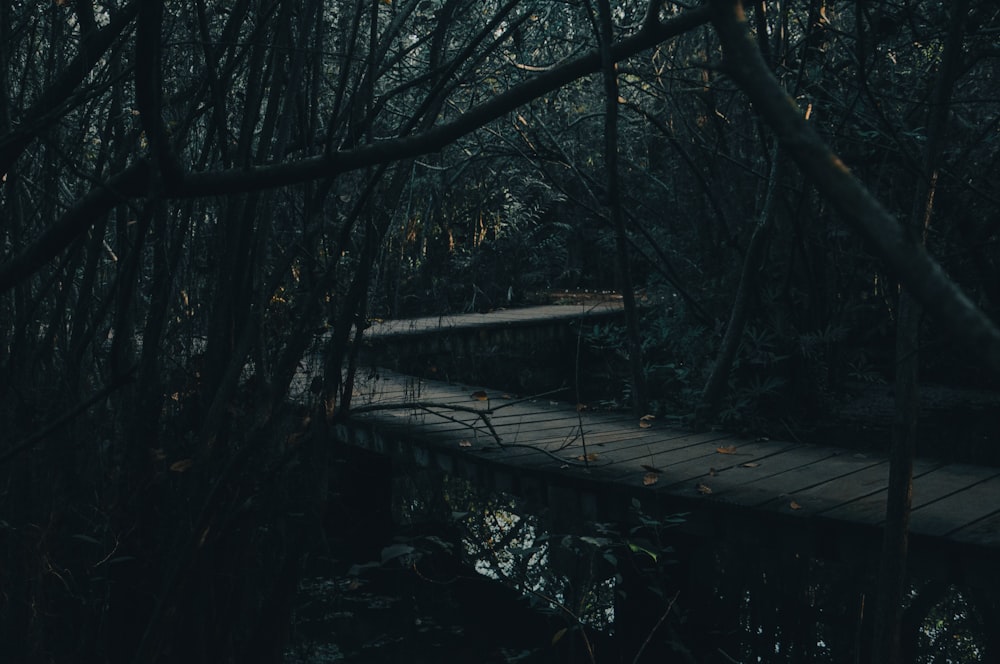 eine Holzbrücke mitten im Wald