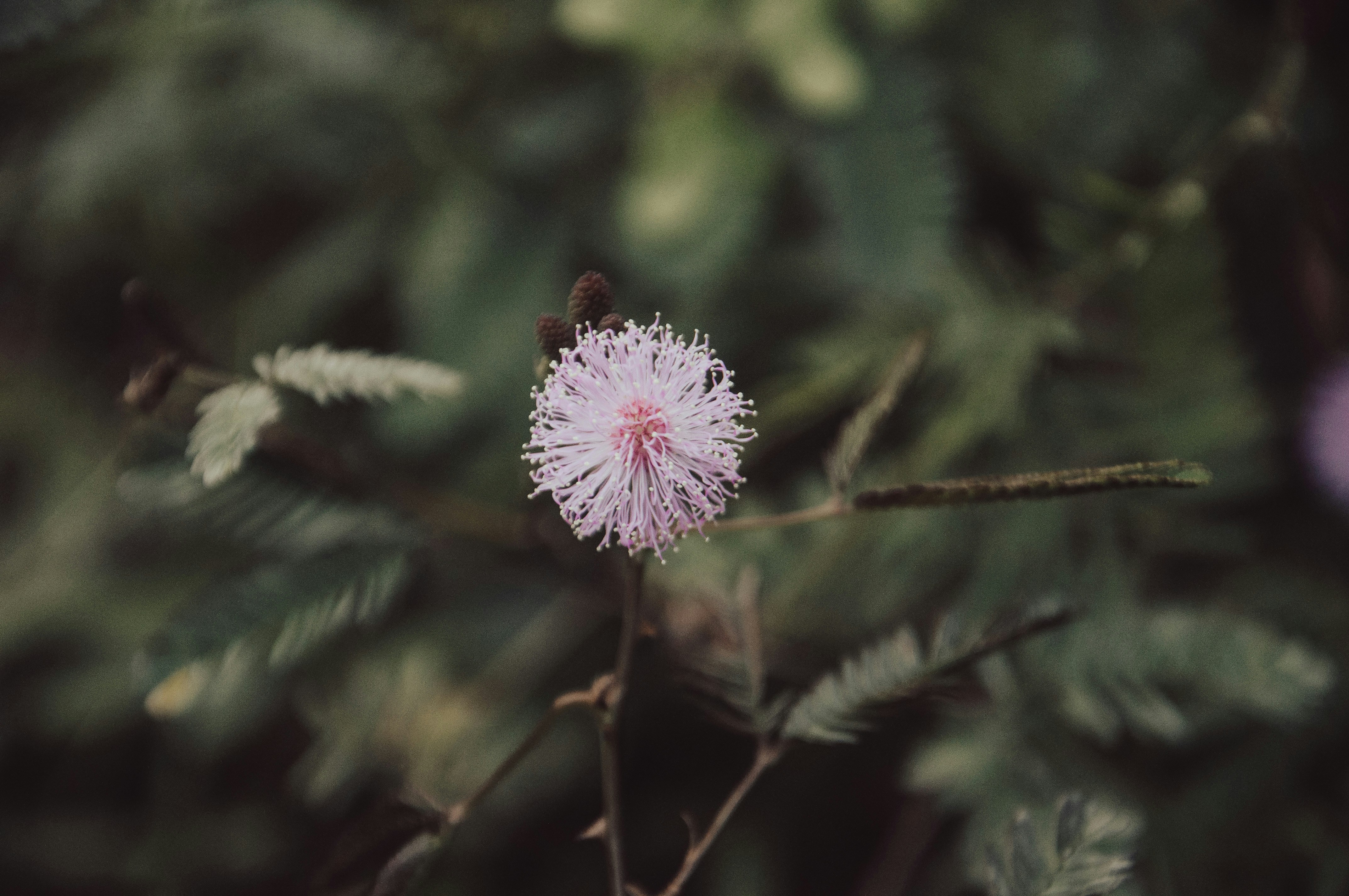 Photo by yanukadeneth99