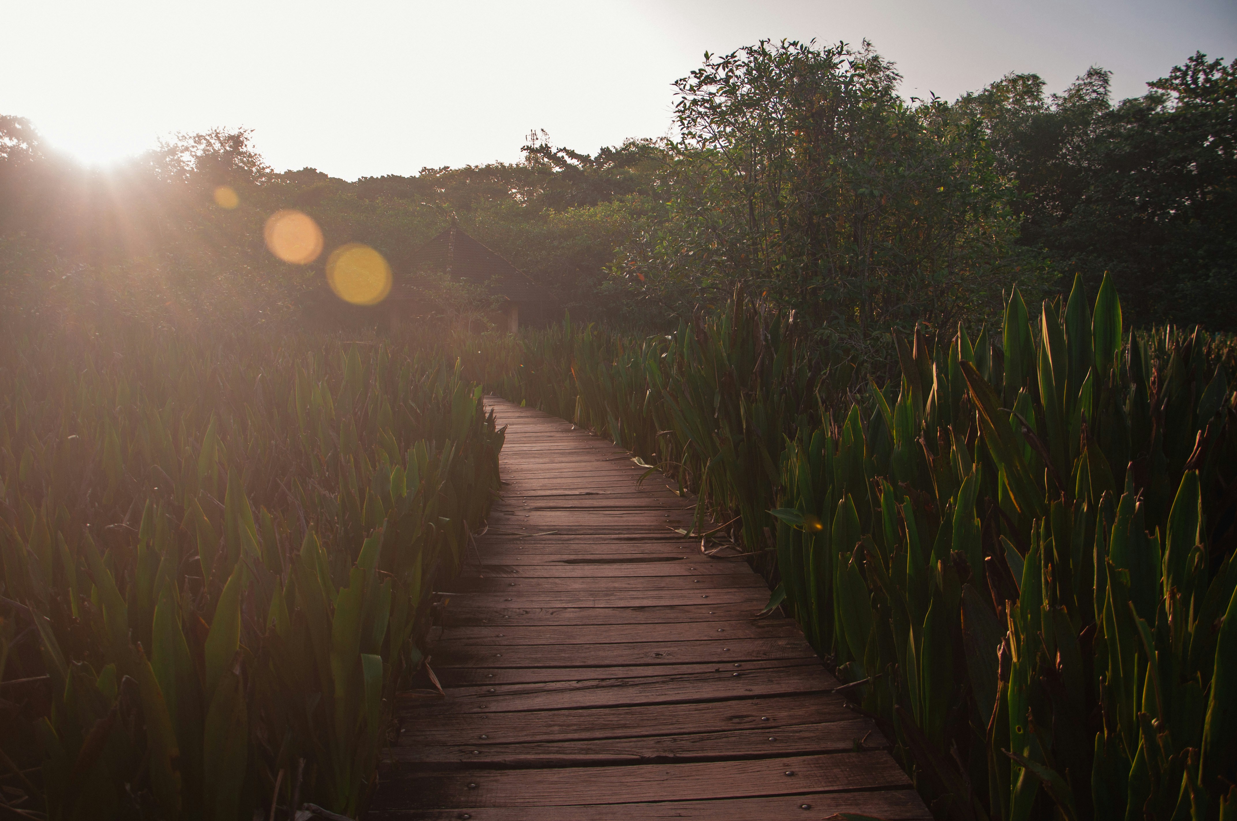 Photo by yanukadeneth99